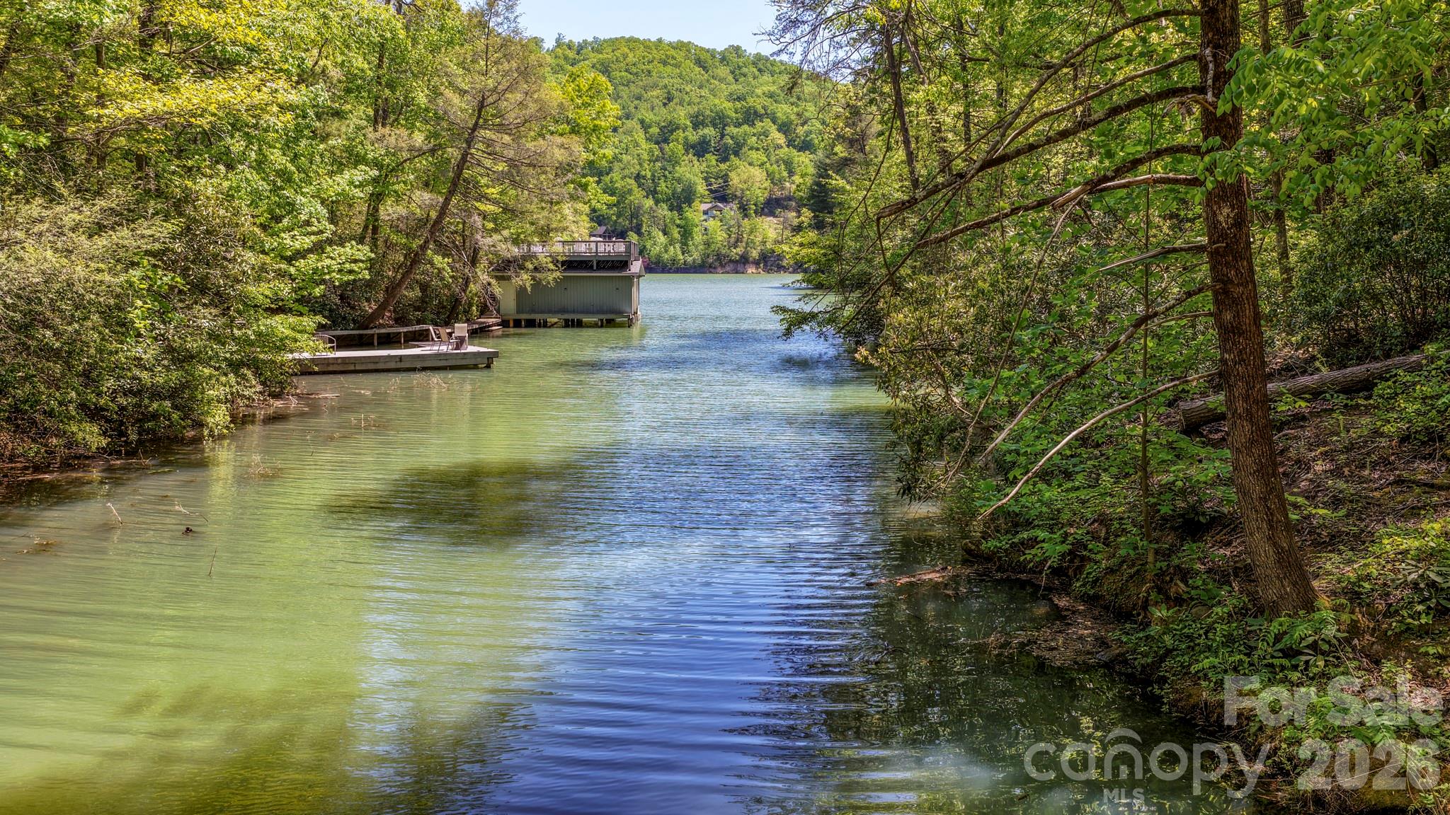 Rumbling Bald on Lake Lure - Land