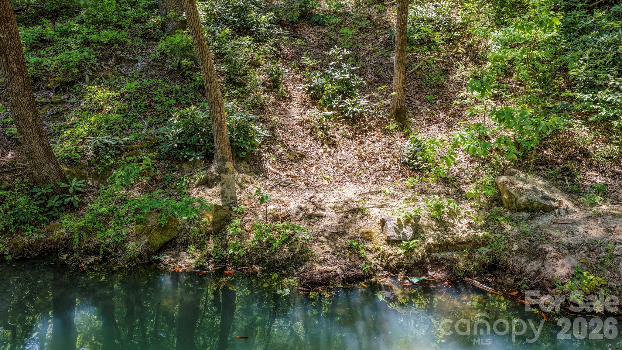 Rumbling Bald on Lake Lure - Land