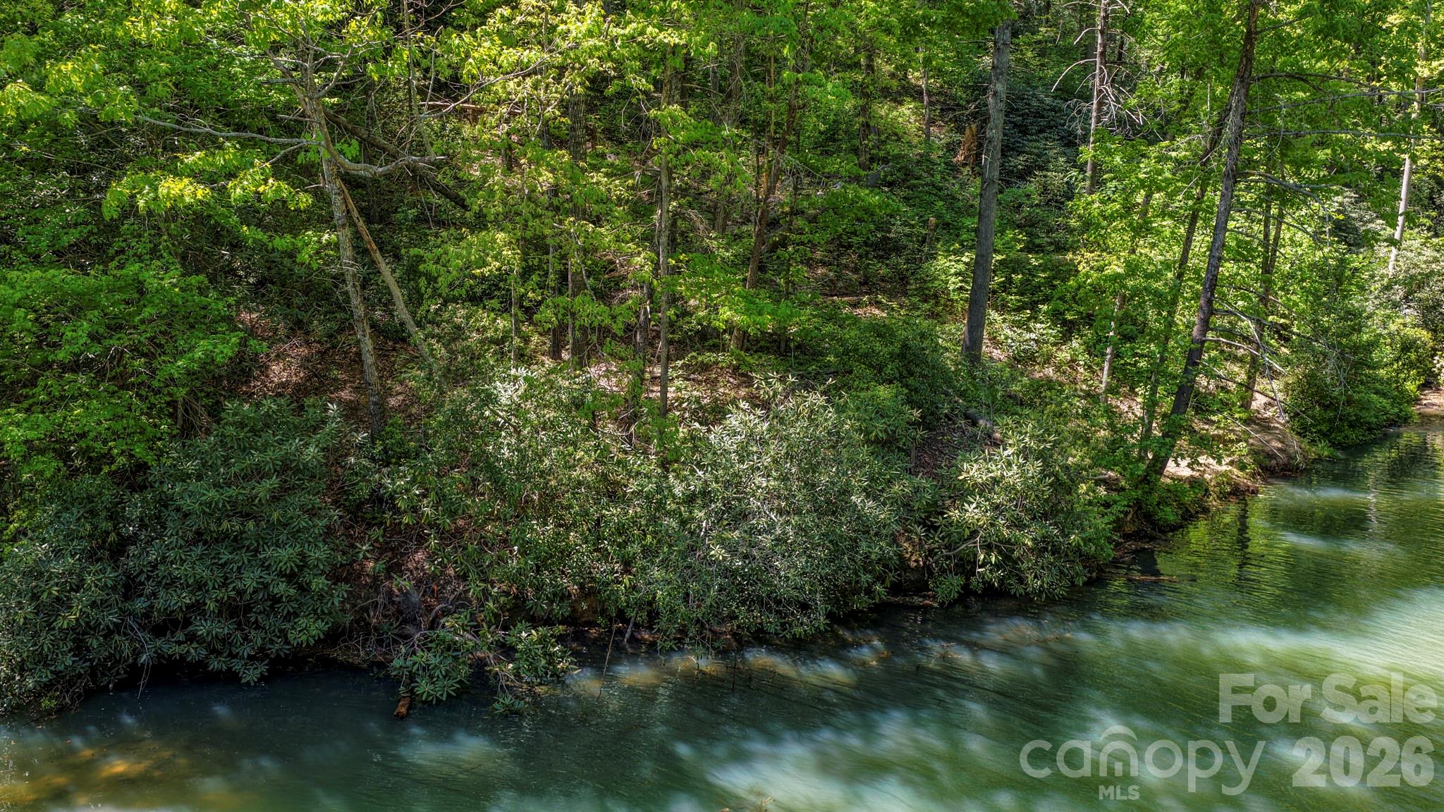 Rumbling Bald on Lake Lure - Land