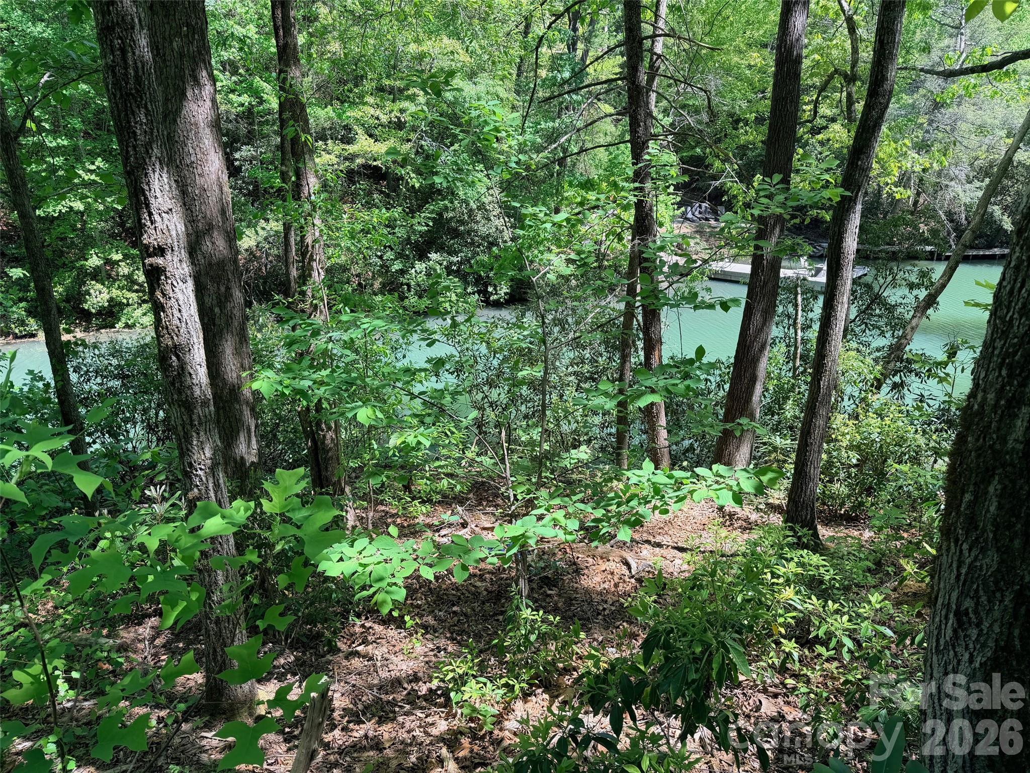 Rumbling Bald on Lake Lure - Land