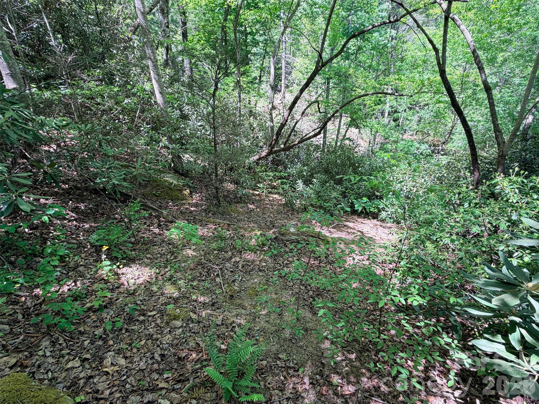 Rumbling Bald on Lake Lure - Land