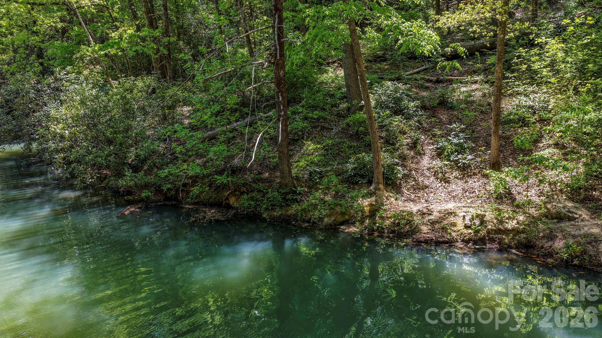 Rumbling Bald on Lake Lure - Land