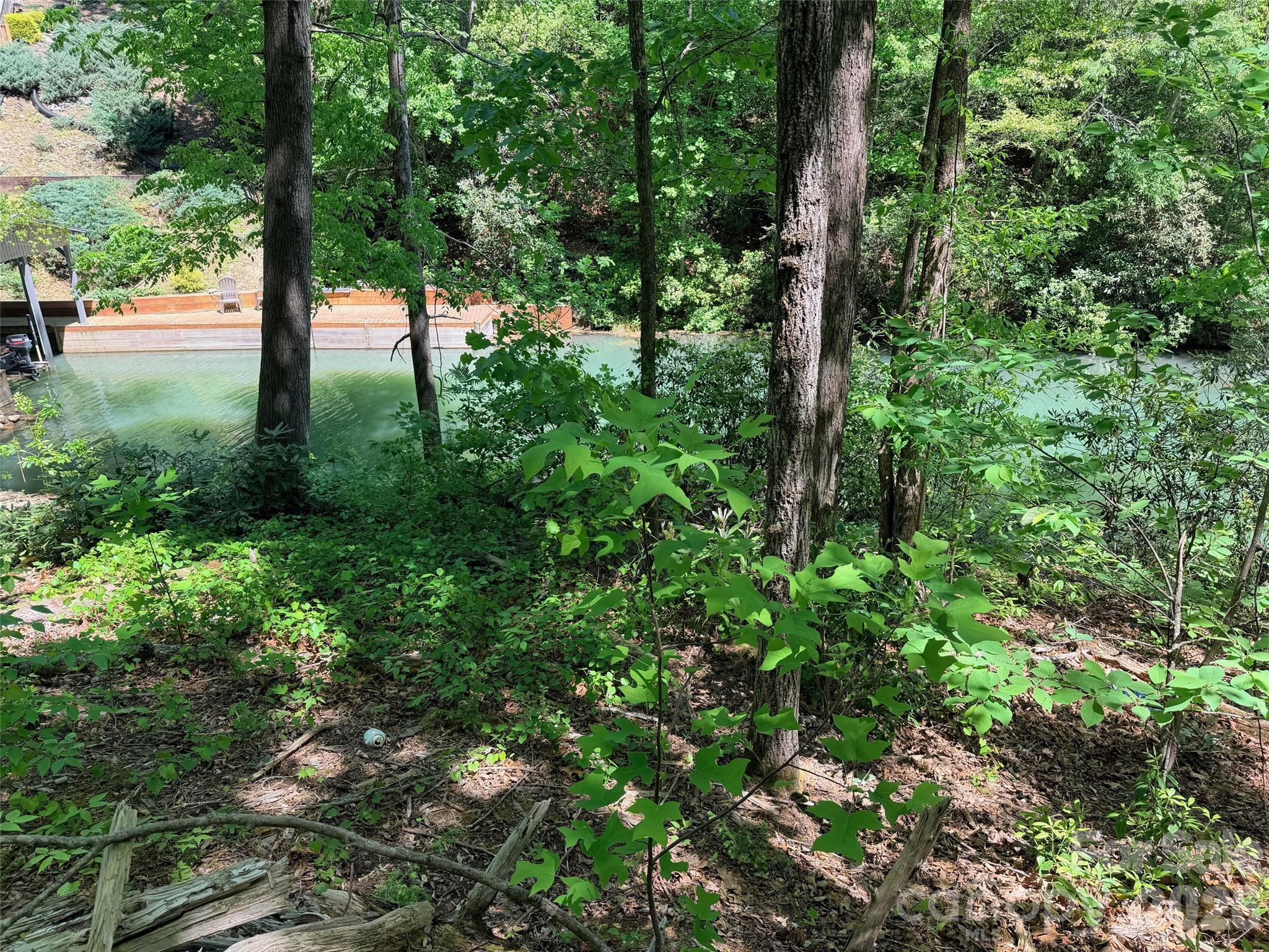 Rumbling Bald on Lake Lure - Land