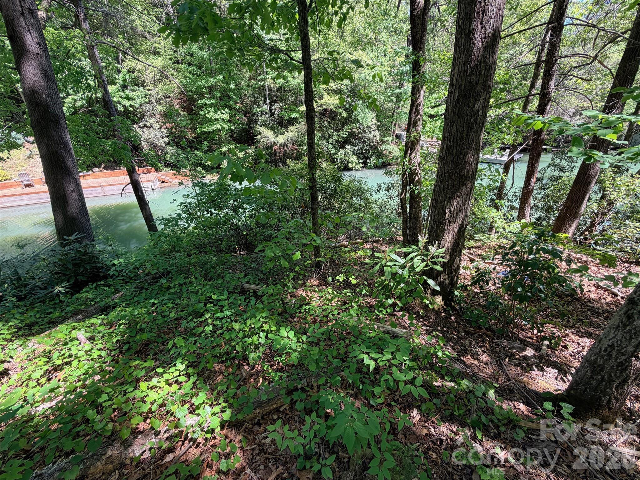 Rumbling Bald on Lake Lure - Land