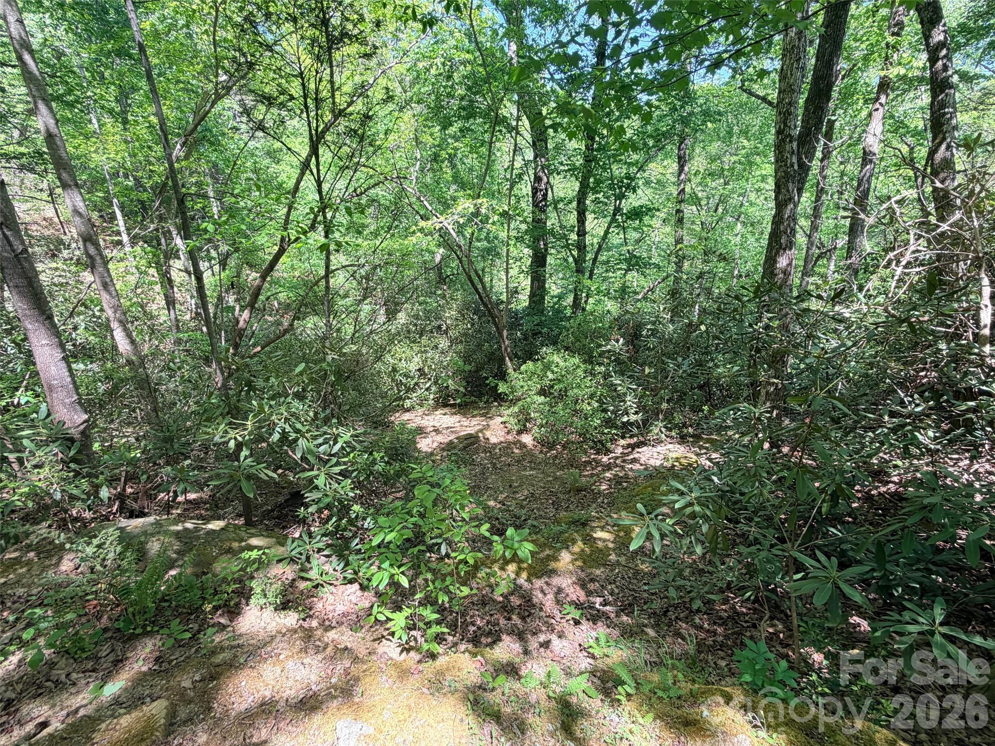 Rumbling Bald on Lake Lure - Land