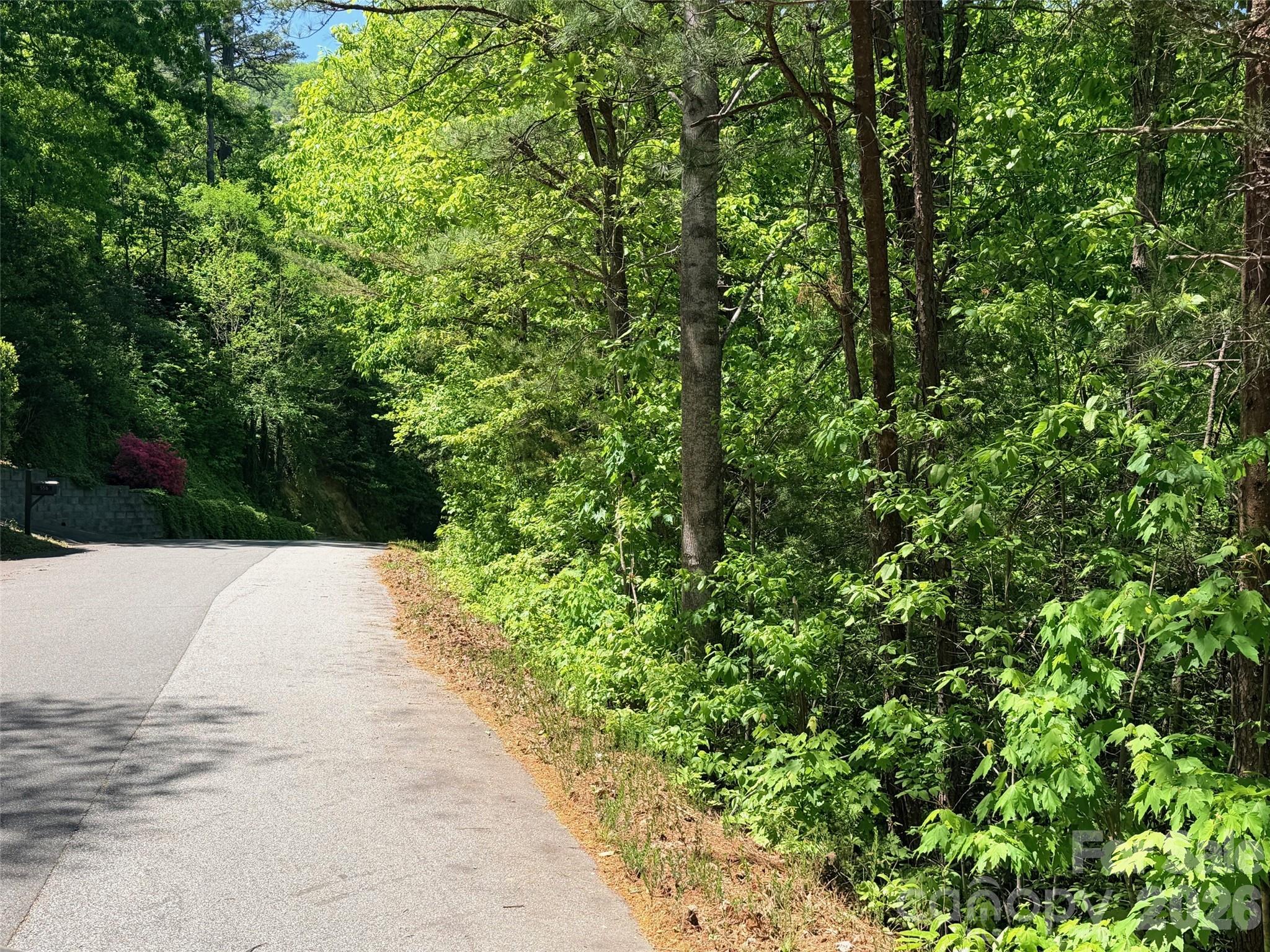 Rumbling Bald on Lake Lure - Land
