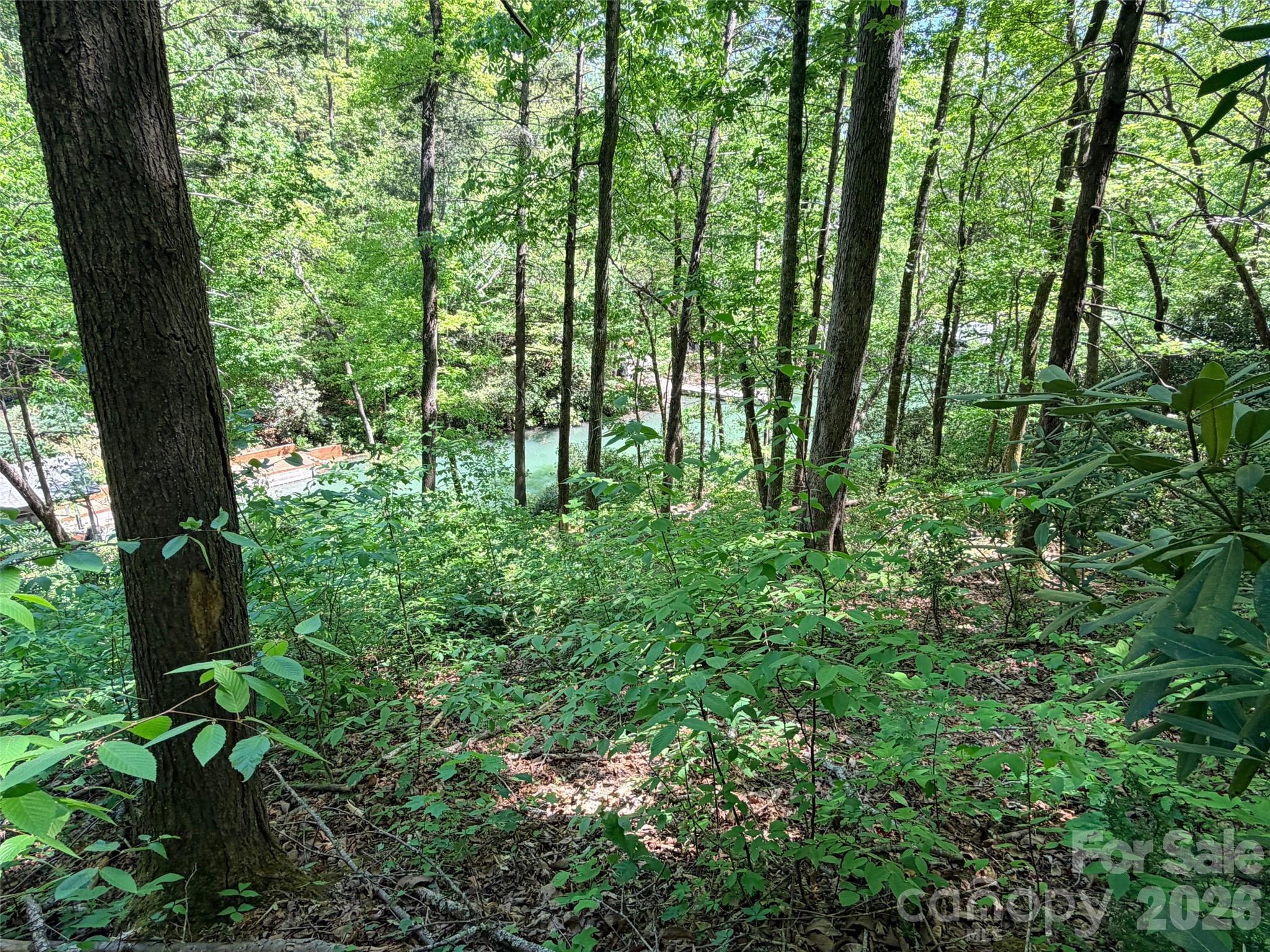 Rumbling Bald on Lake Lure - Land
