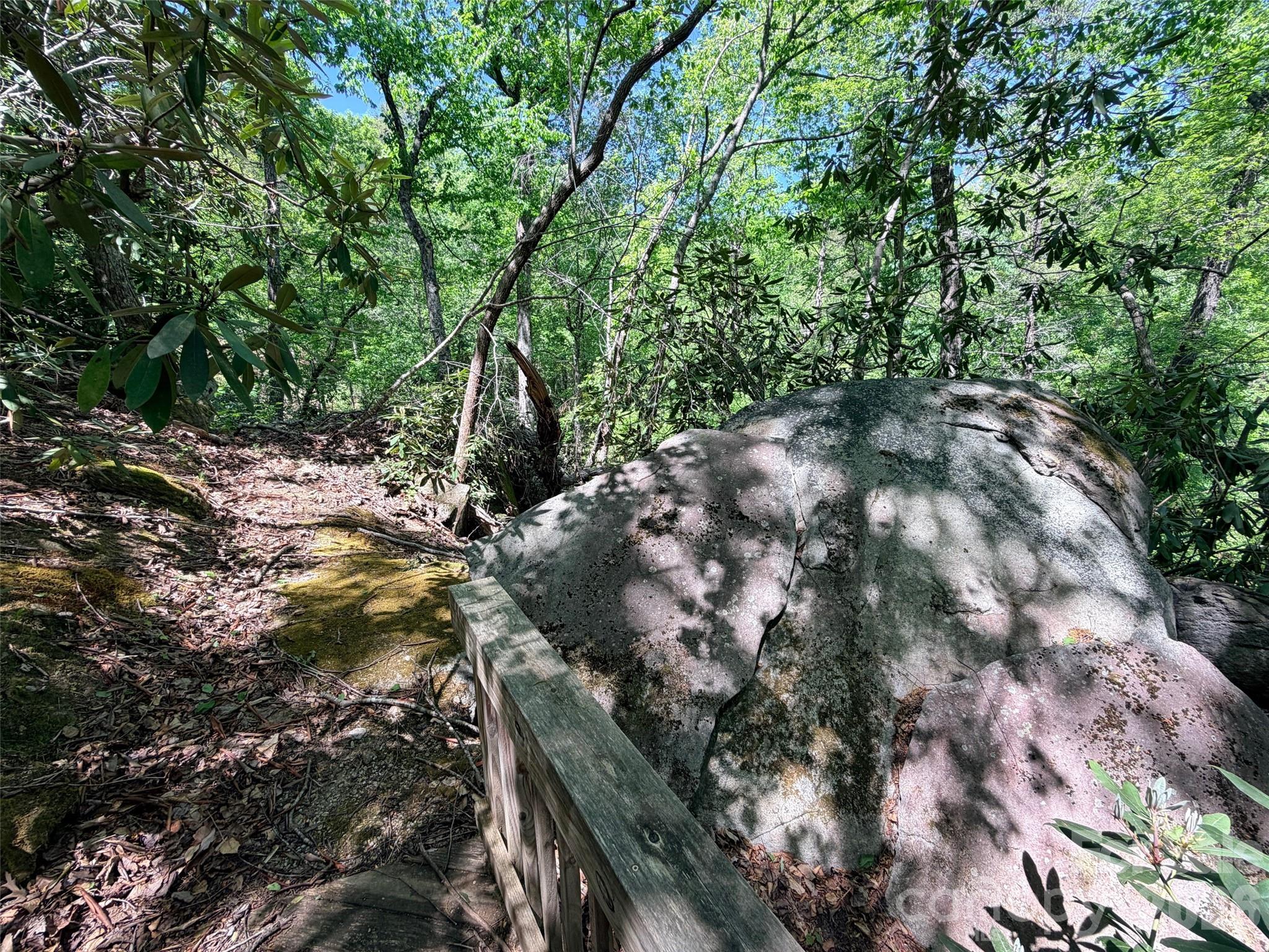 Rumbling Bald on Lake Lure - Land