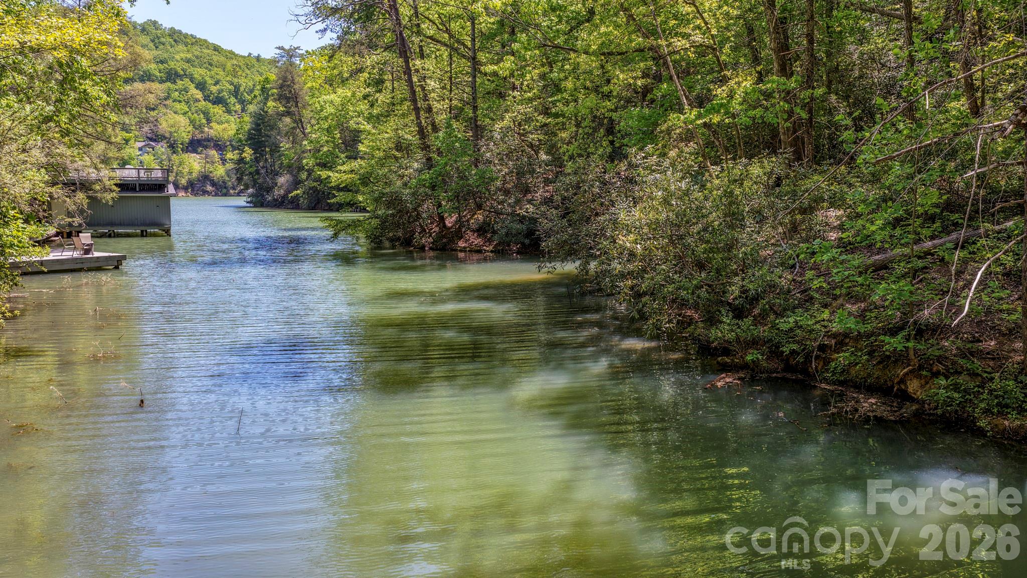 Rumbling Bald on Lake Lure - Land