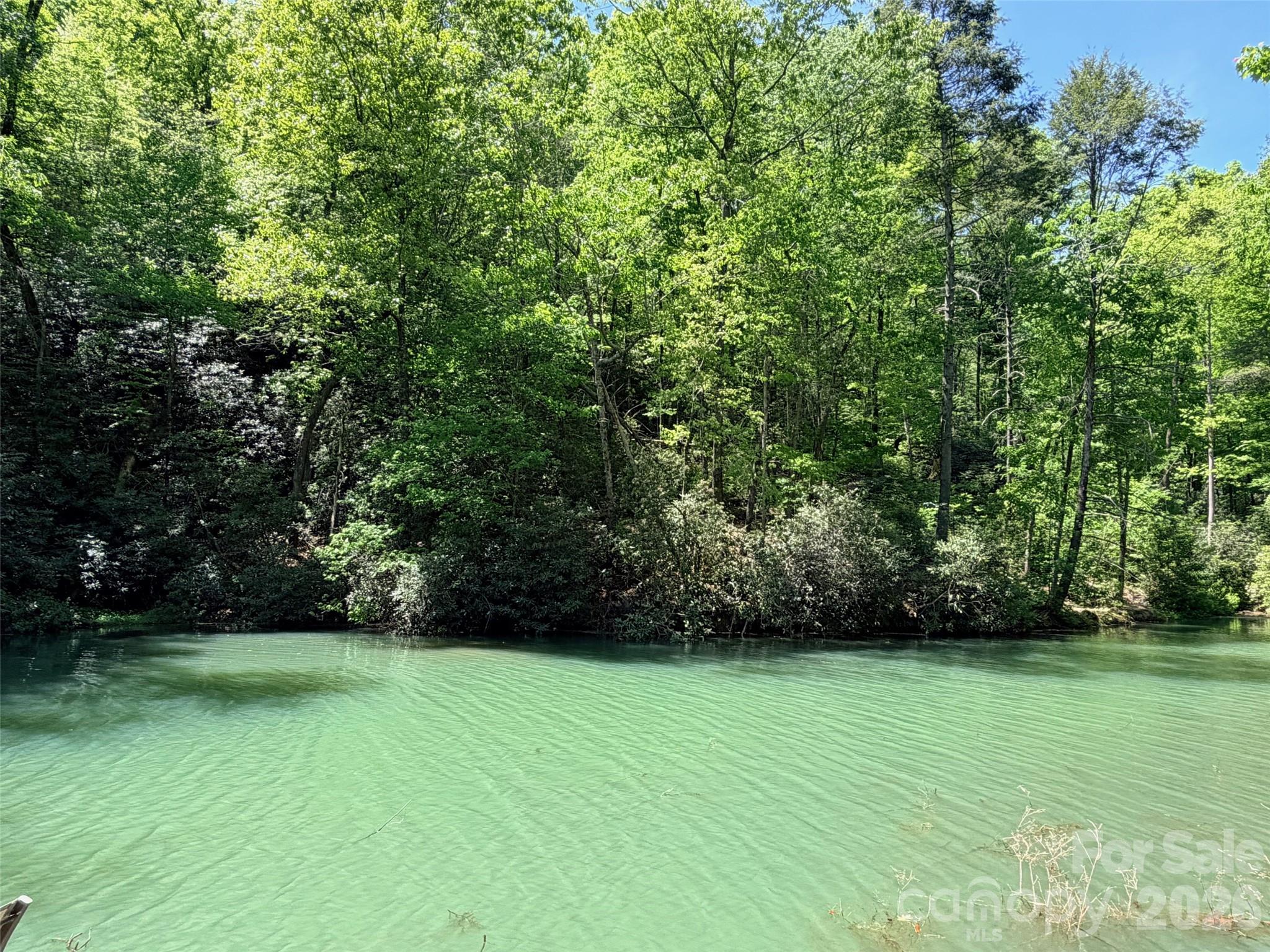 Rumbling Bald on Lake Lure - Land