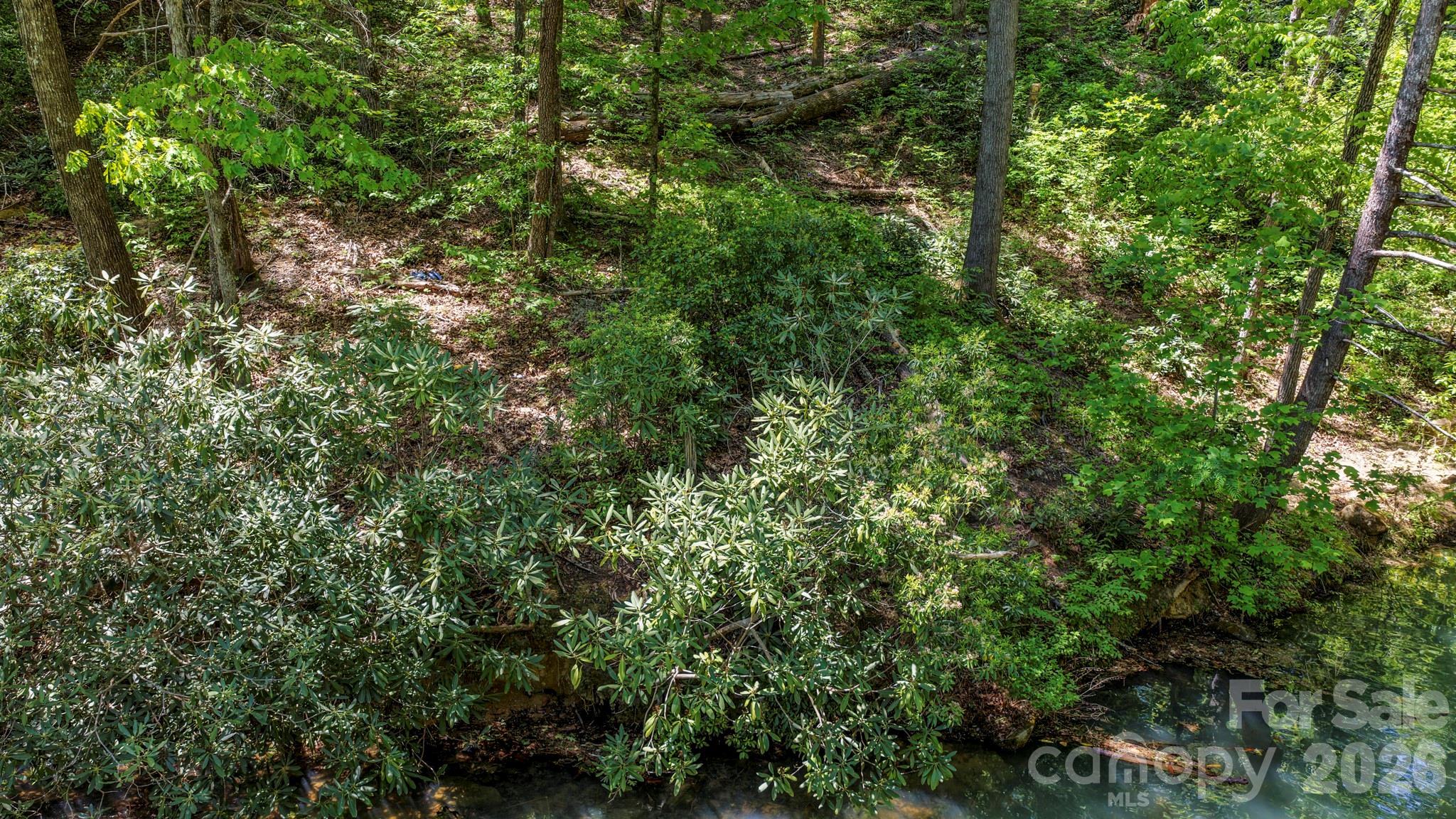 Rumbling Bald on Lake Lure - Land