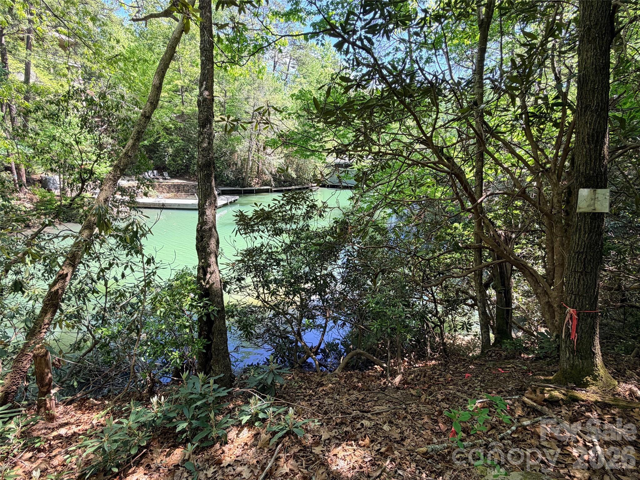 Rumbling Bald on Lake Lure - Land