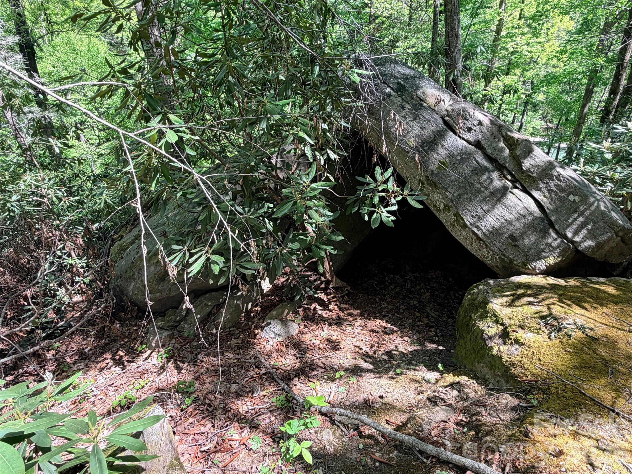 Rumbling Bald on Lake Lure - Land