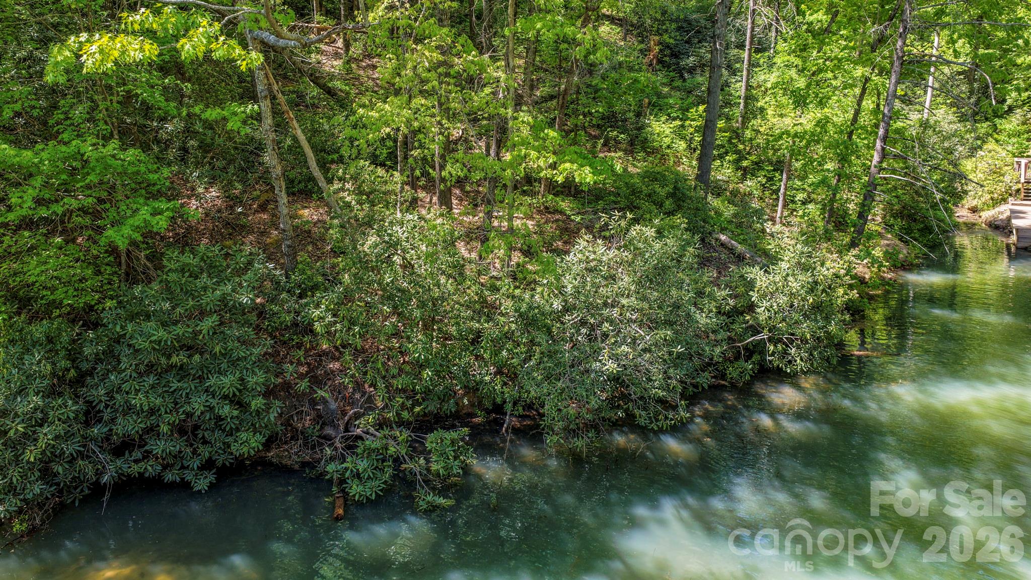 Rumbling Bald on Lake Lure - Land