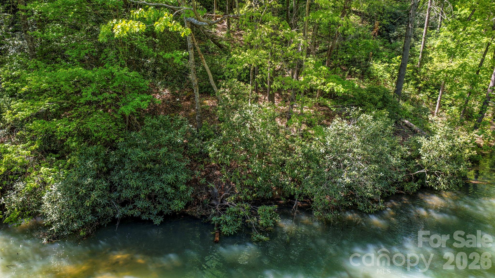 Rumbling Bald on Lake Lure - Land