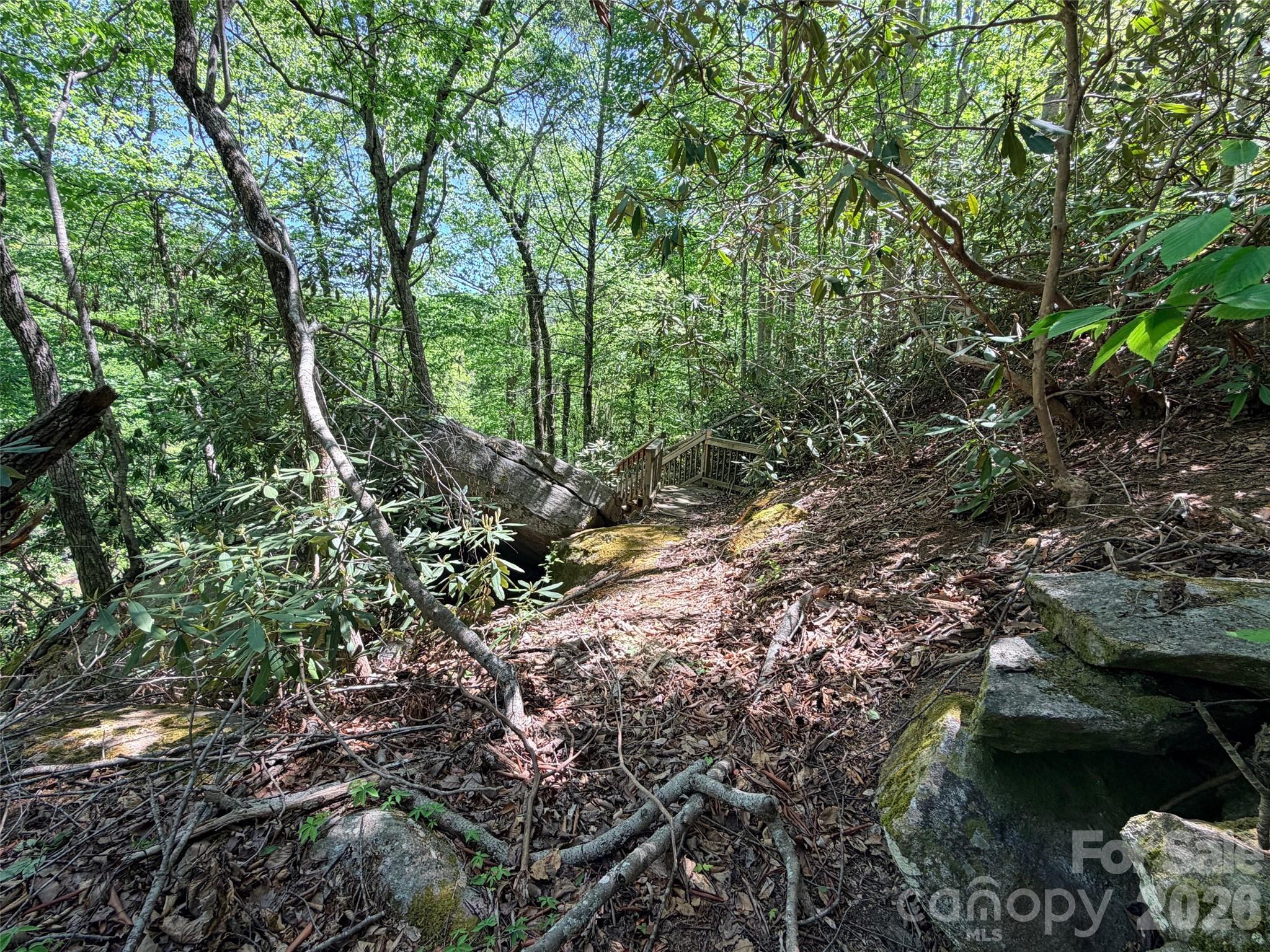 Rumbling Bald on Lake Lure - Land