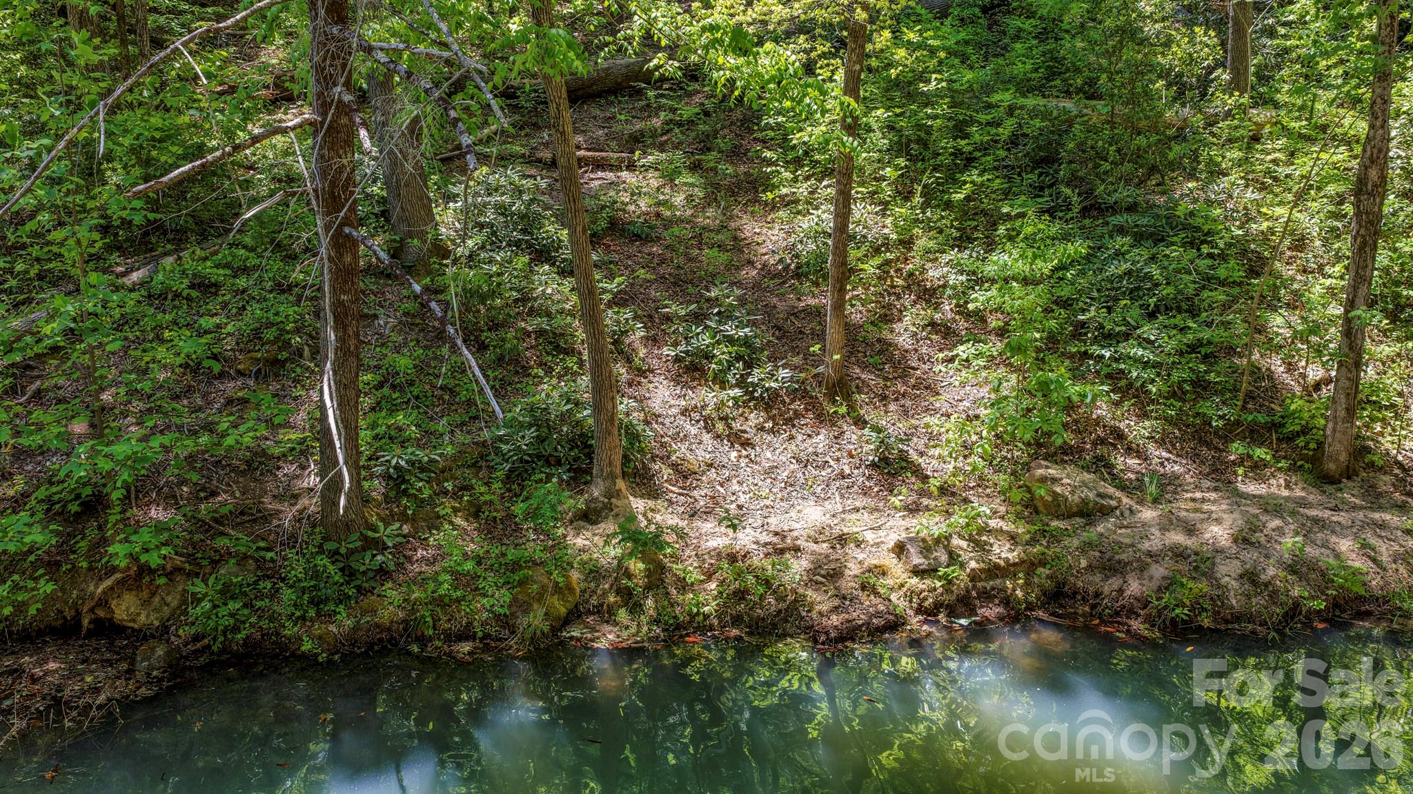 Rumbling Bald on Lake Lure - Land