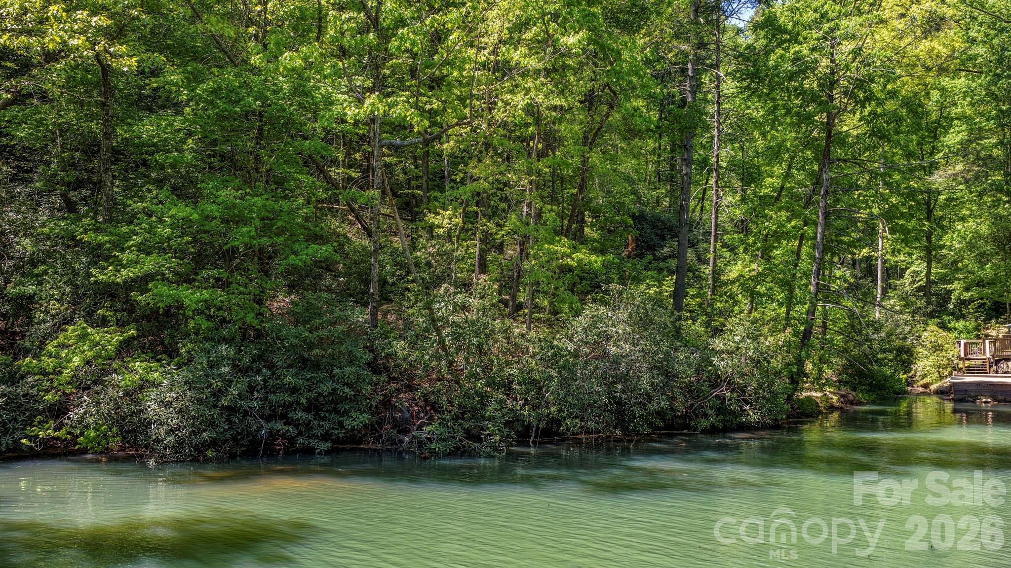 Rumbling Bald on Lake Lure - Land