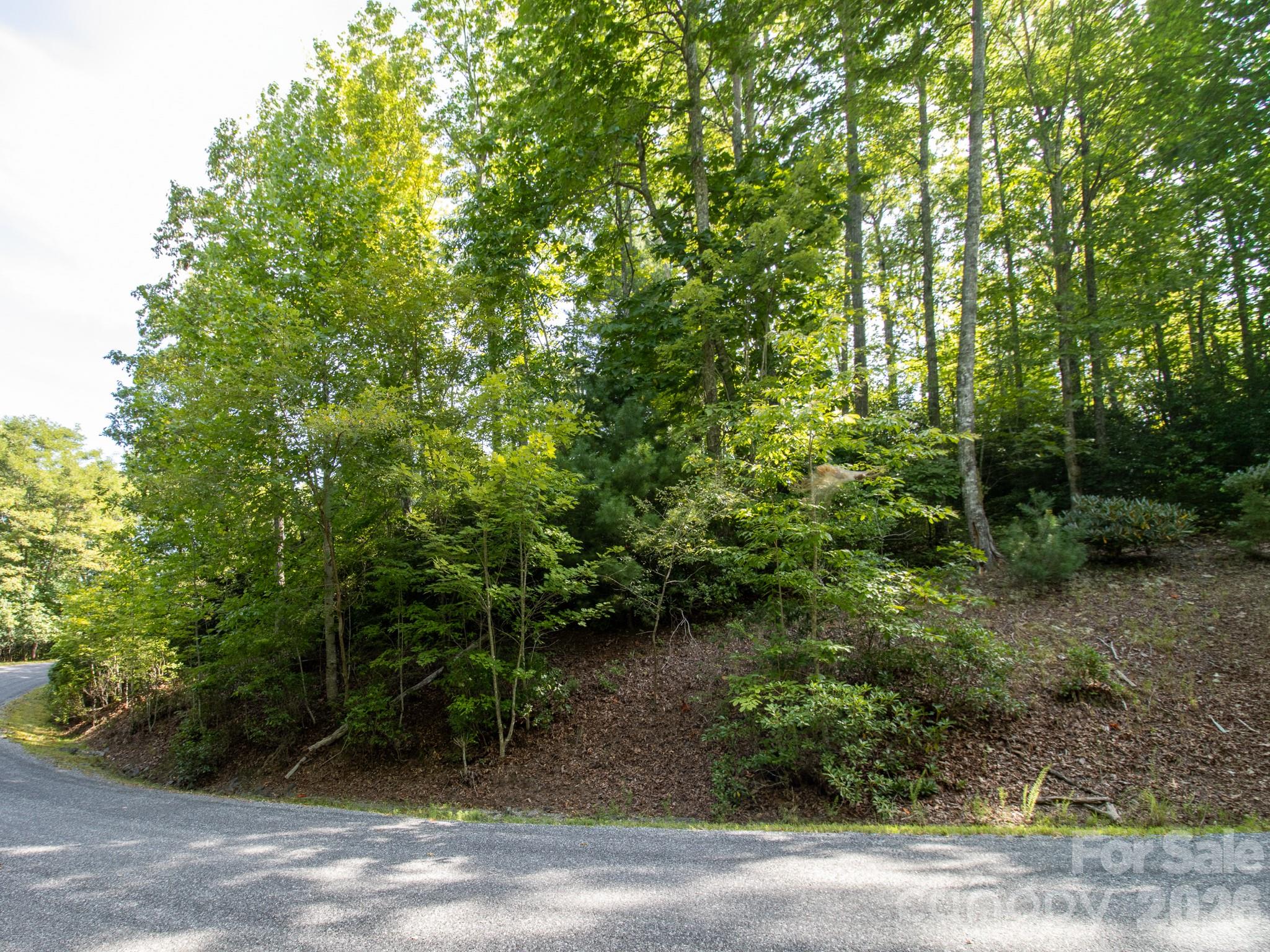 TBD Kelly Mountain Road 19