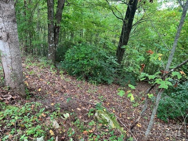 105 CROSSVINE Trail 15