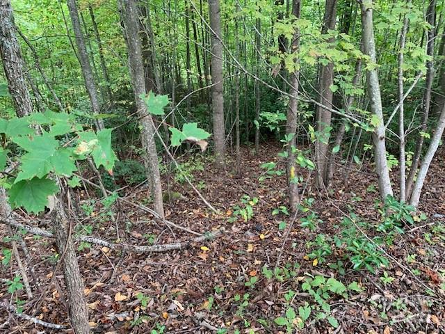 105 CROSSVINE Trail 15