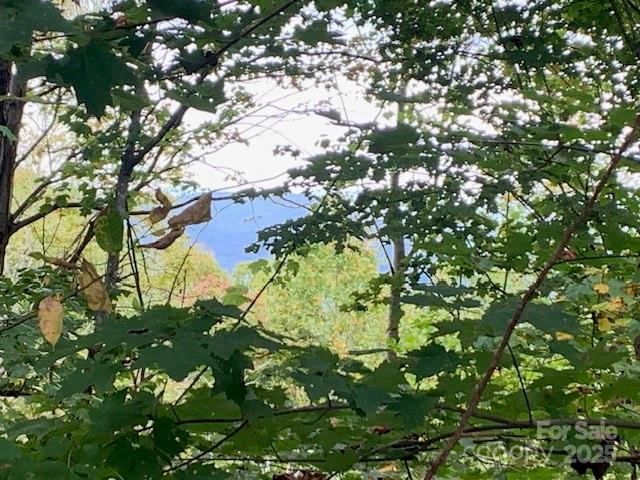 105 CROSSVINE Trail 15