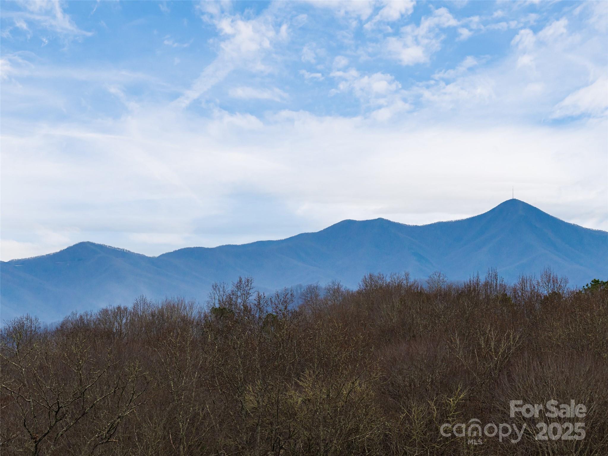 StoneRidge at Hayes Mountain - Residential