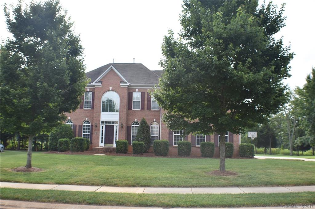 Chestnut - Residential