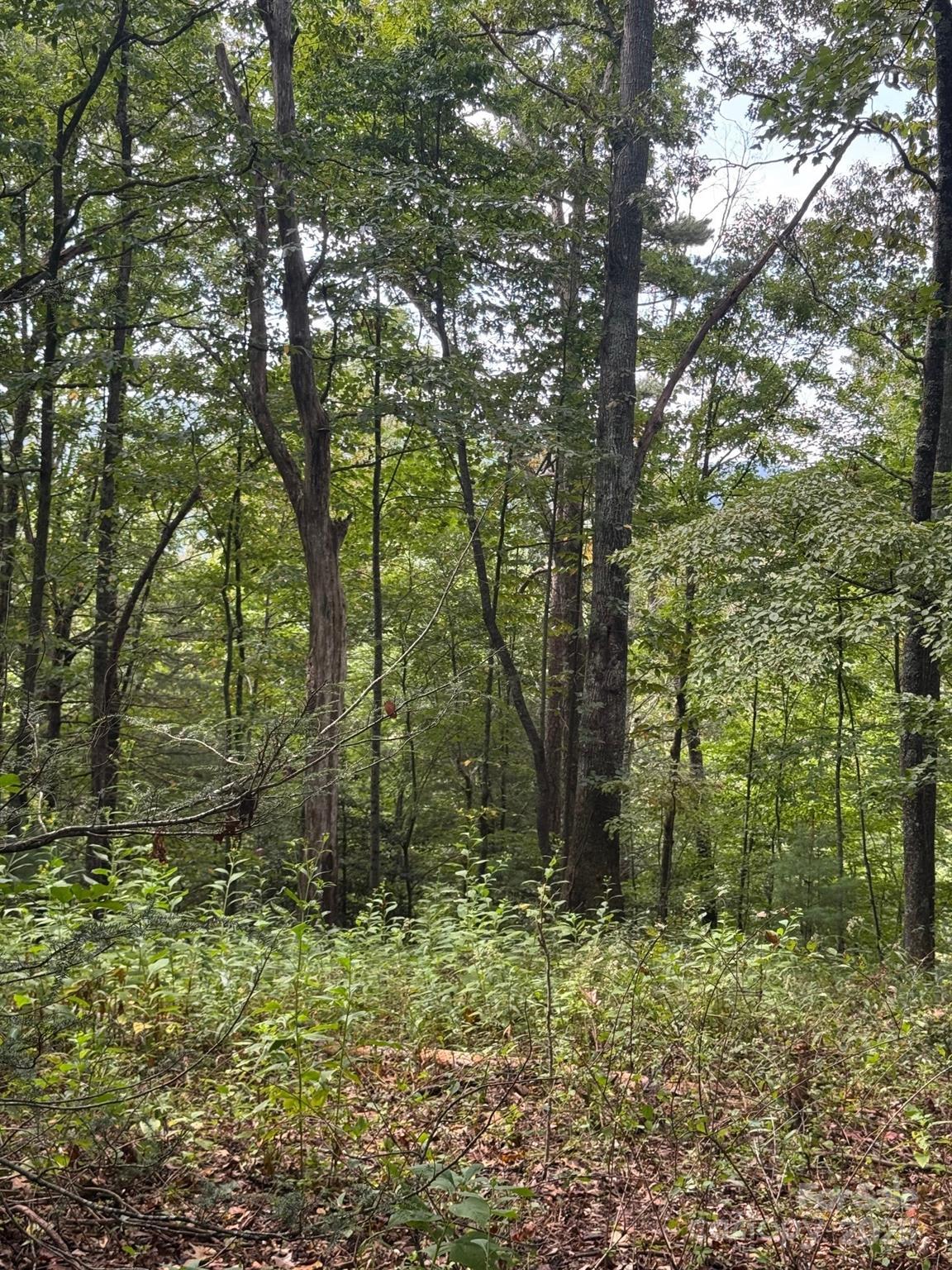 110 Stone Valley Way 20