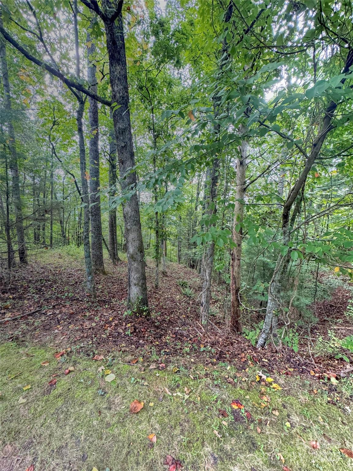 110 Stone Valley Way 20