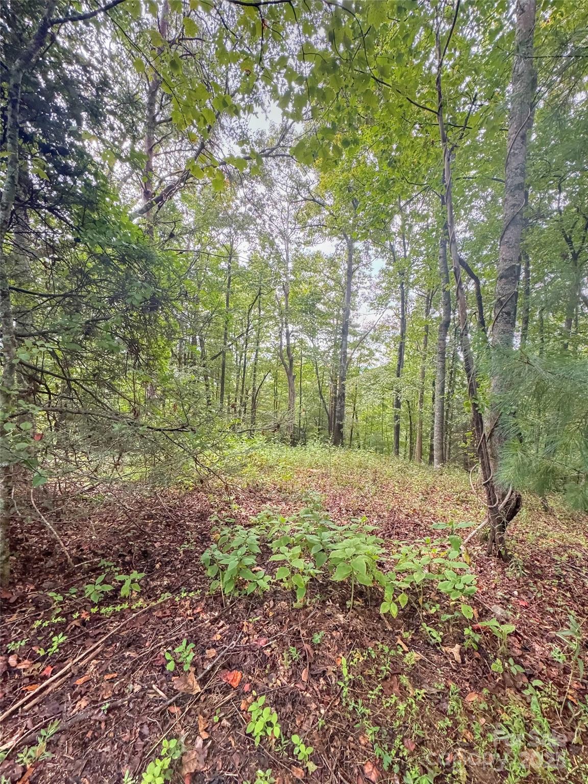 110 Stone Valley Way 20