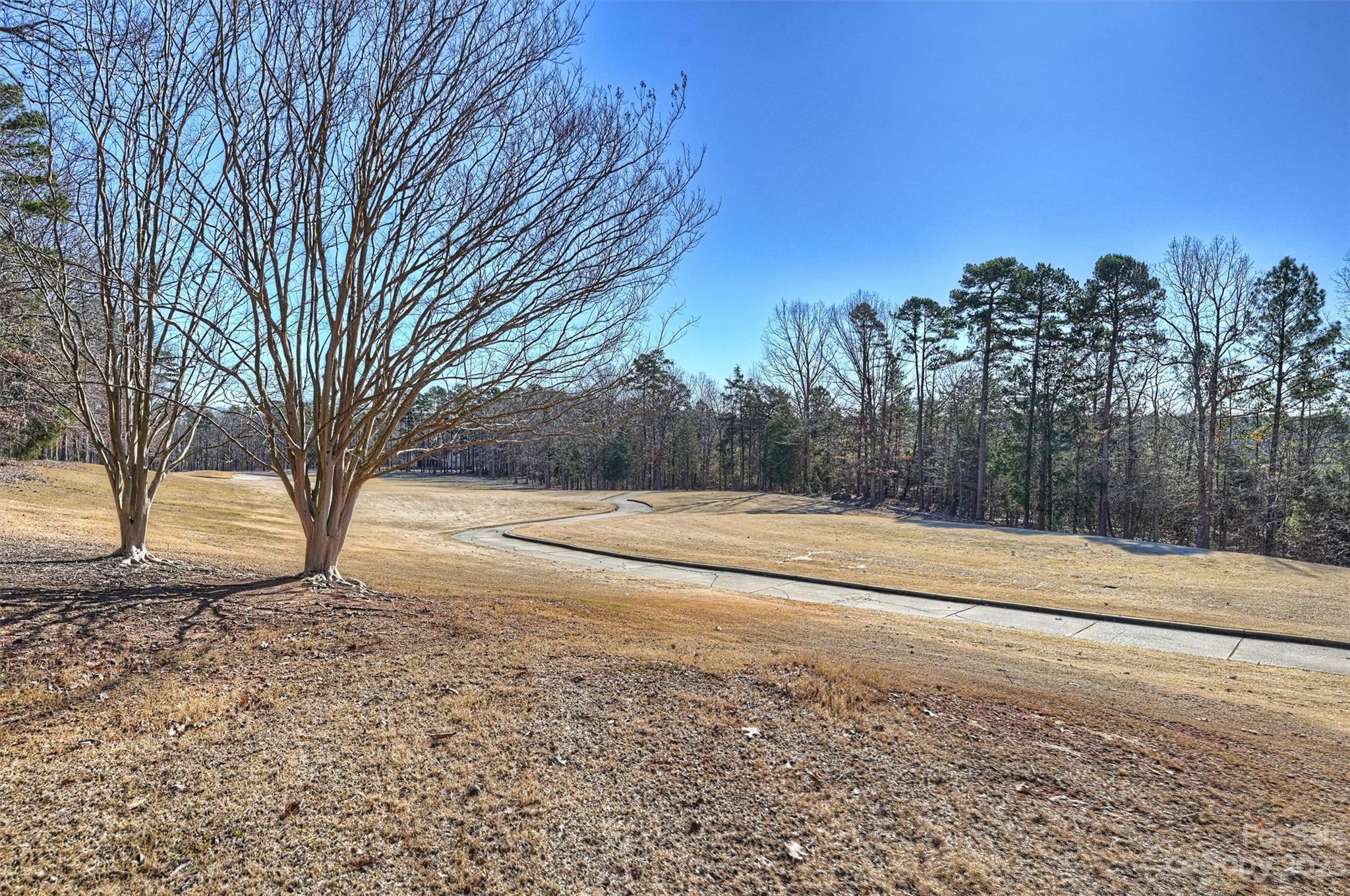 Olde Sycamore - Residential