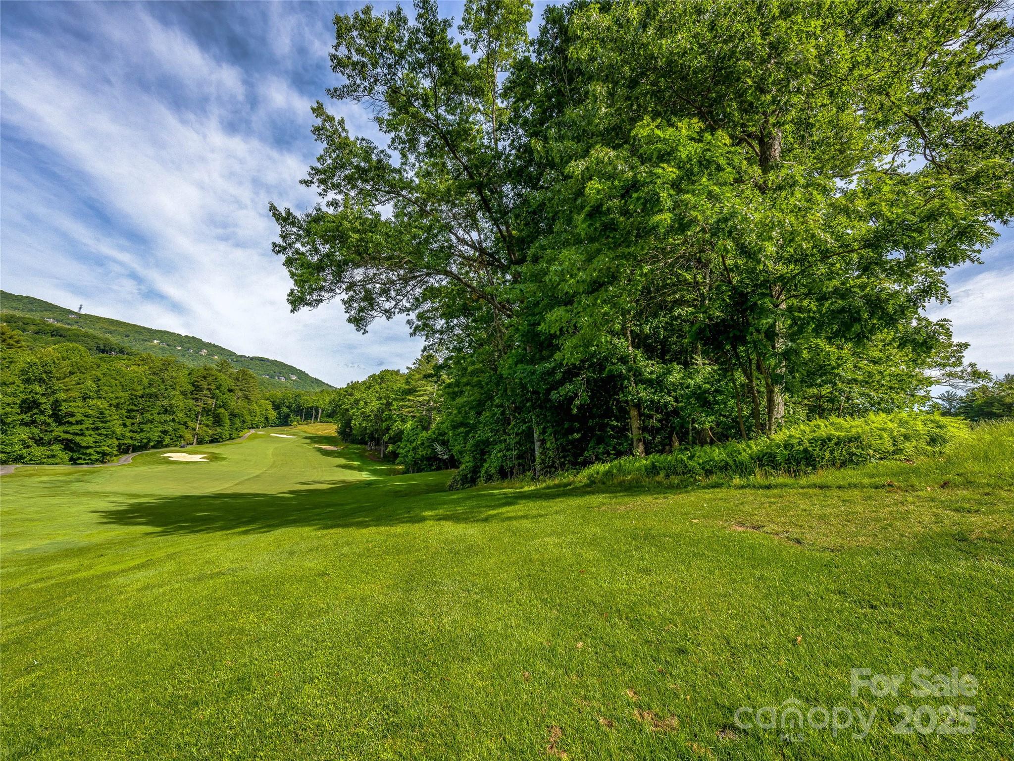 Lake Toxaway Estates - Land