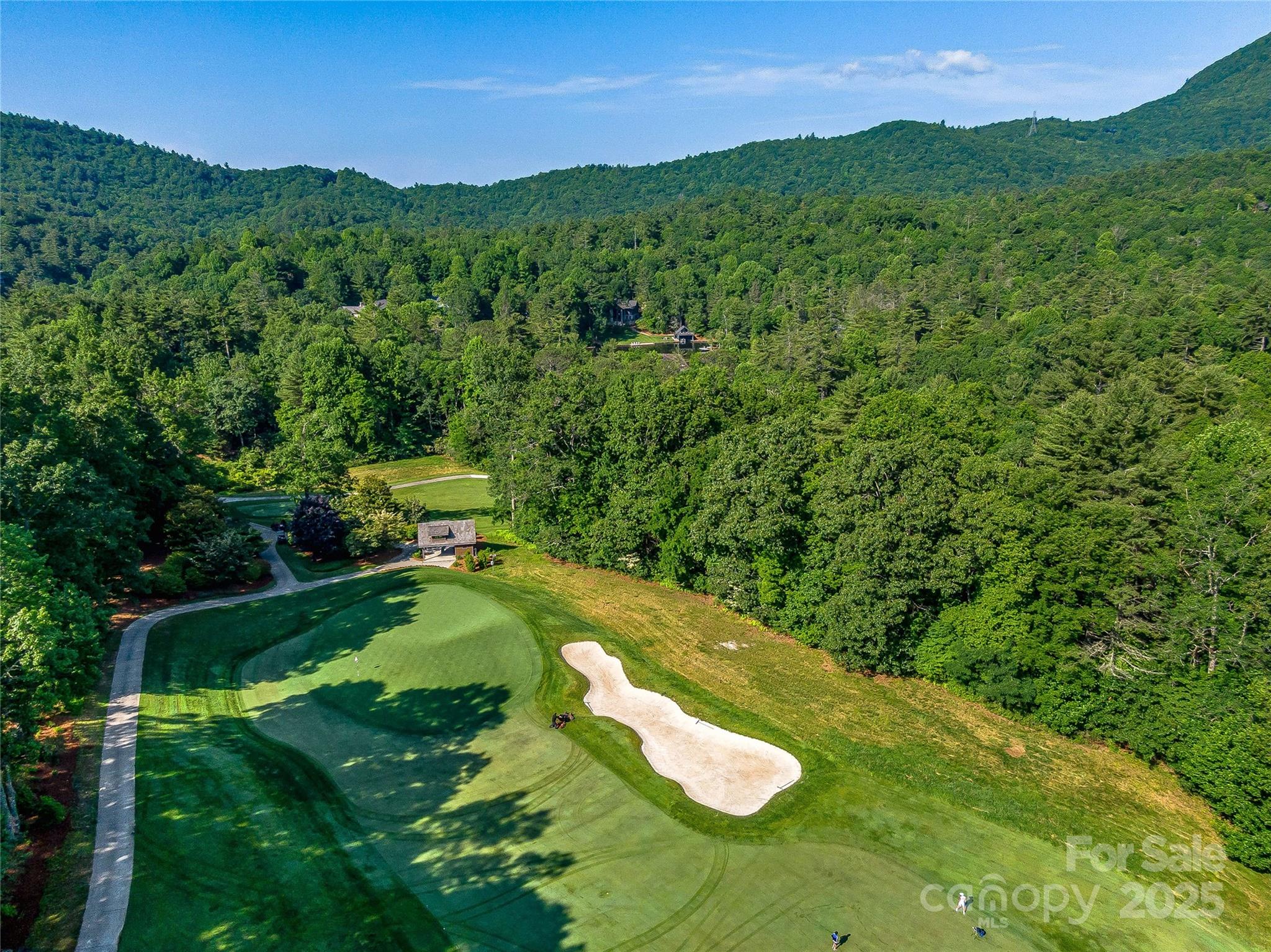 Lake Toxaway Estates - Land