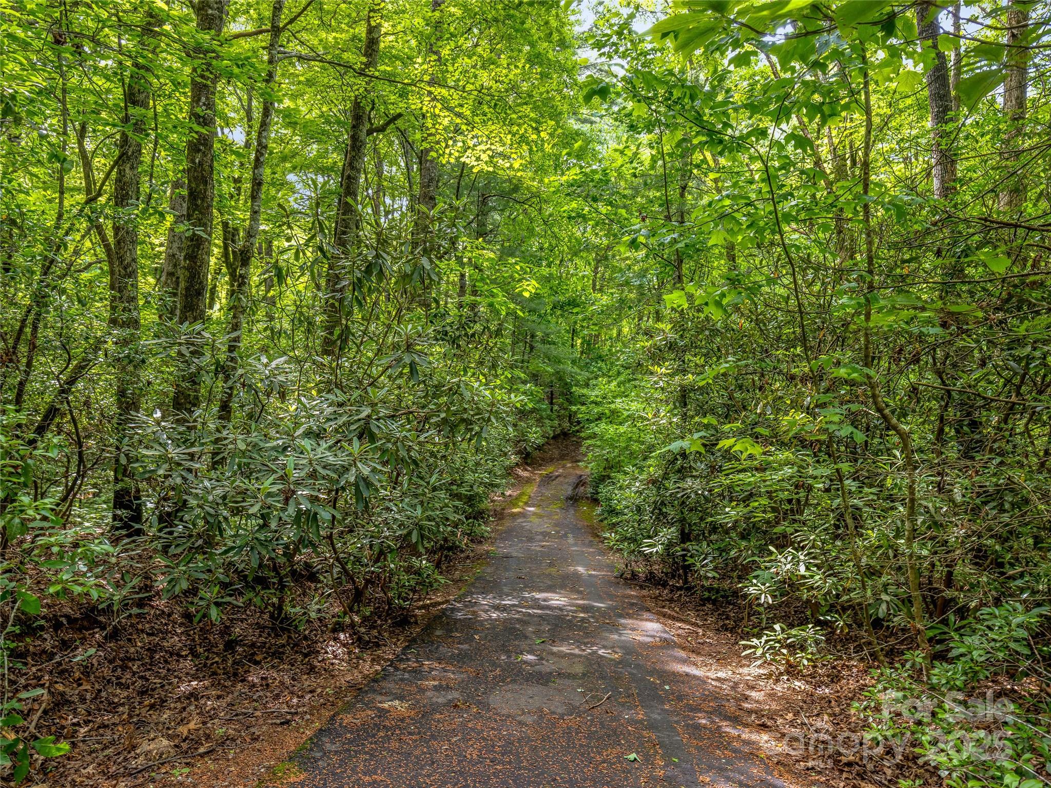 Lake Toxaway Estates - Land