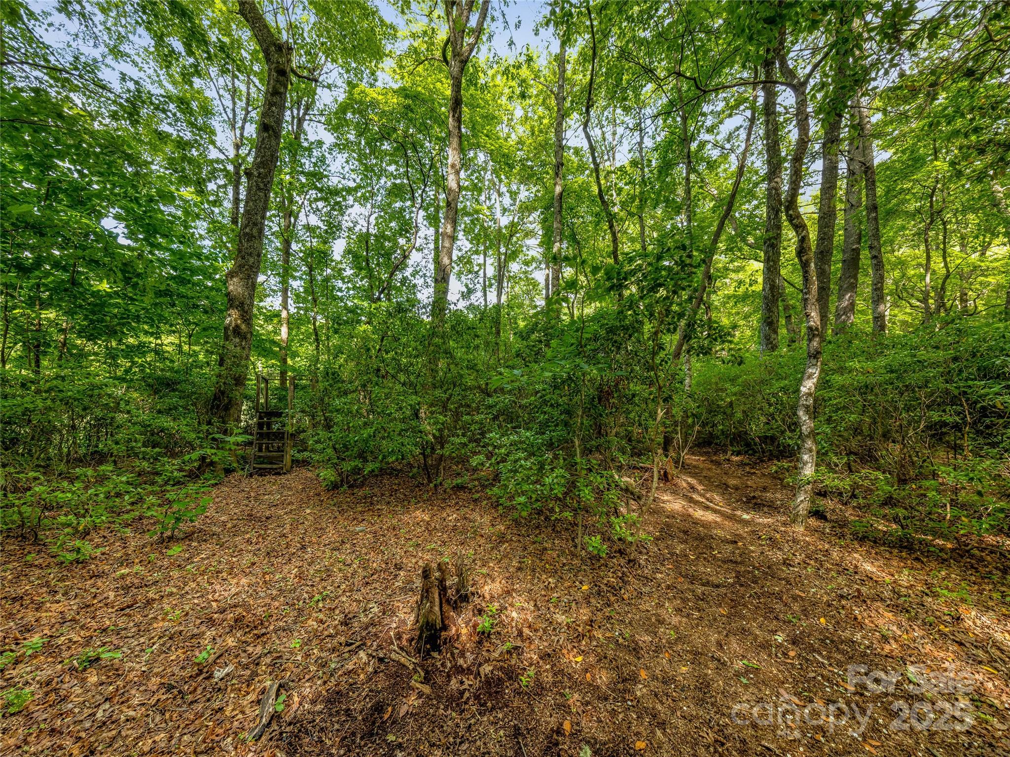 Lake Toxaway Estates - Land