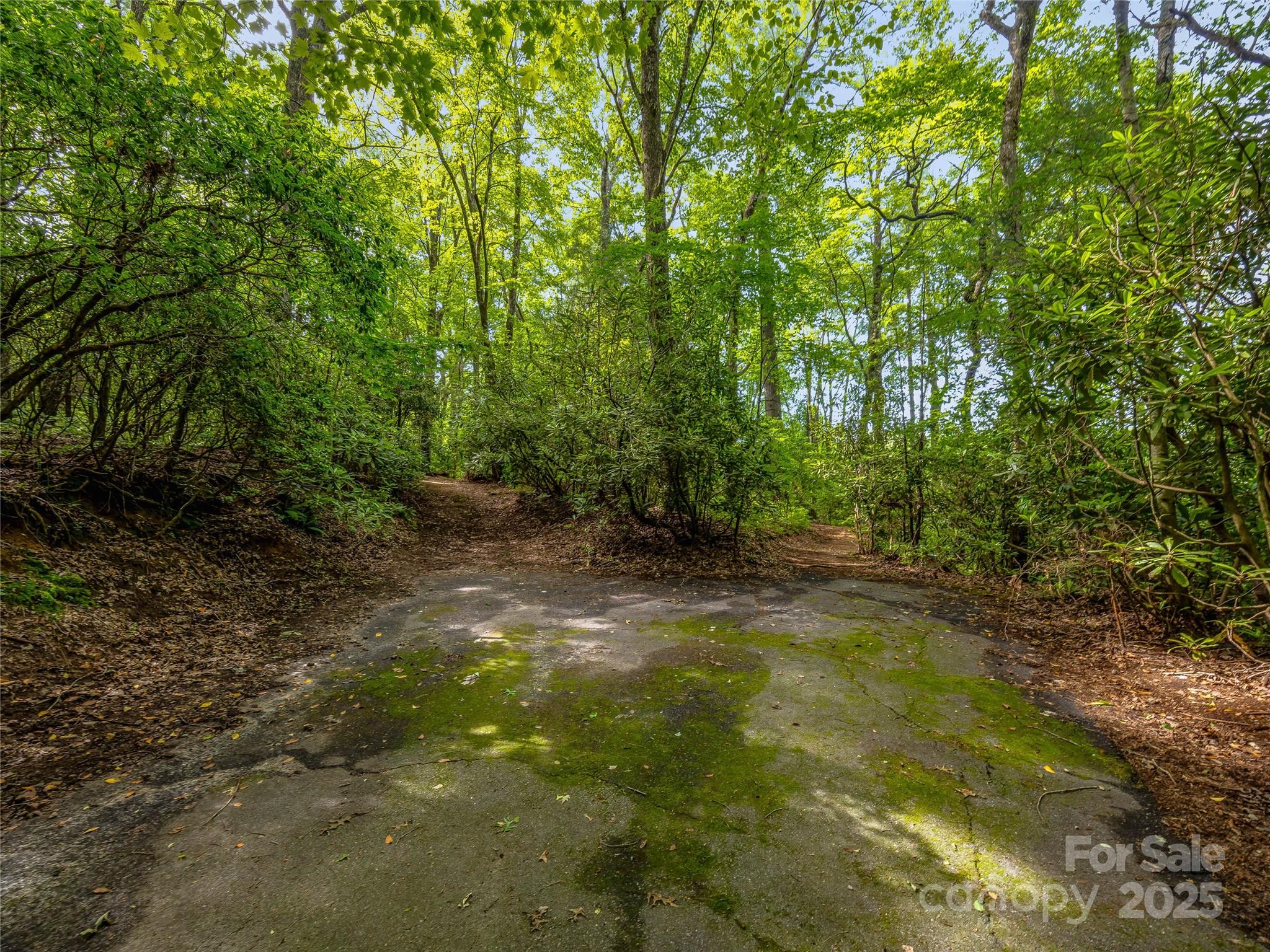 Lake Toxaway Estates - Land