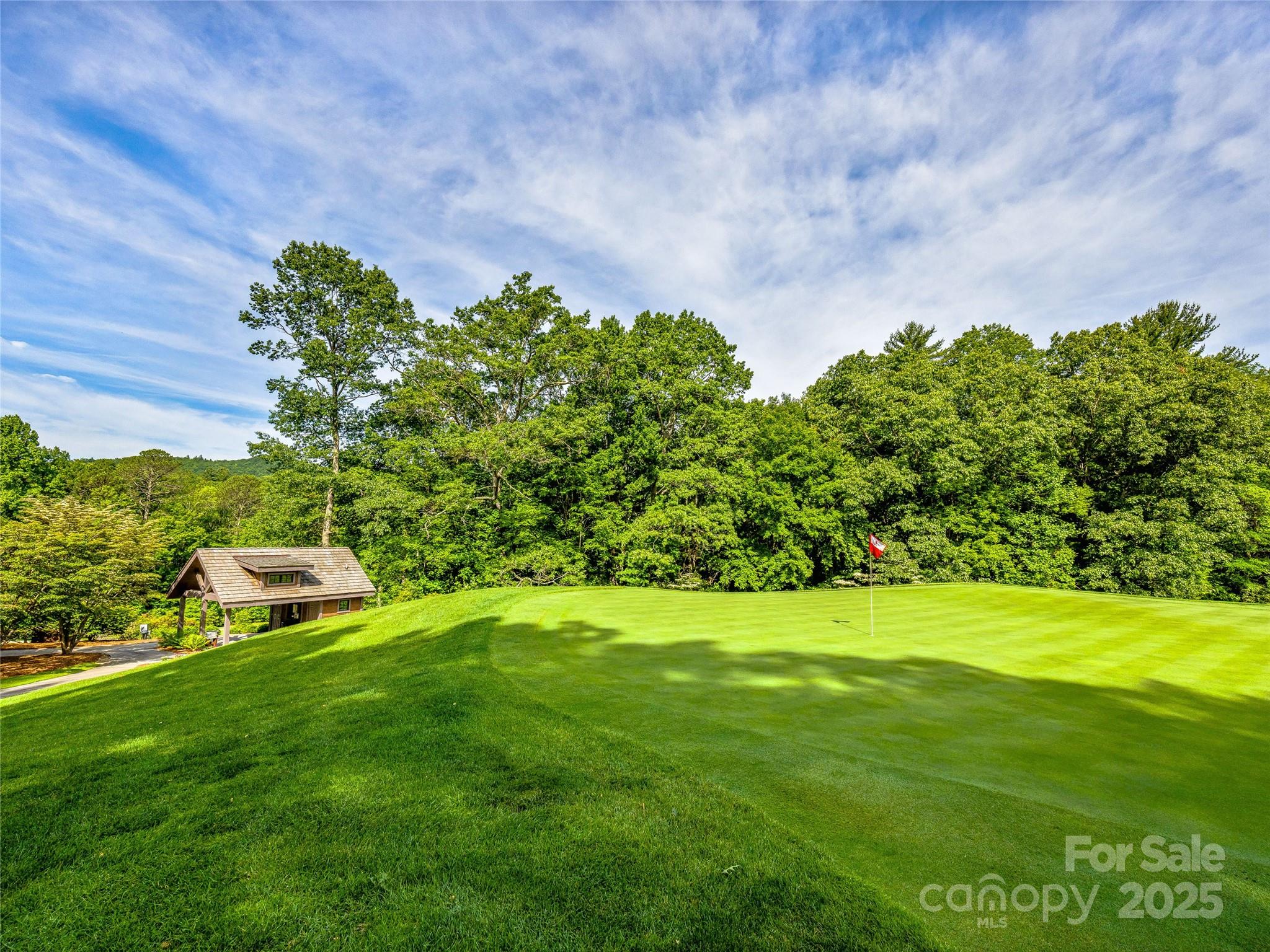 Lake Toxaway Estates - Land