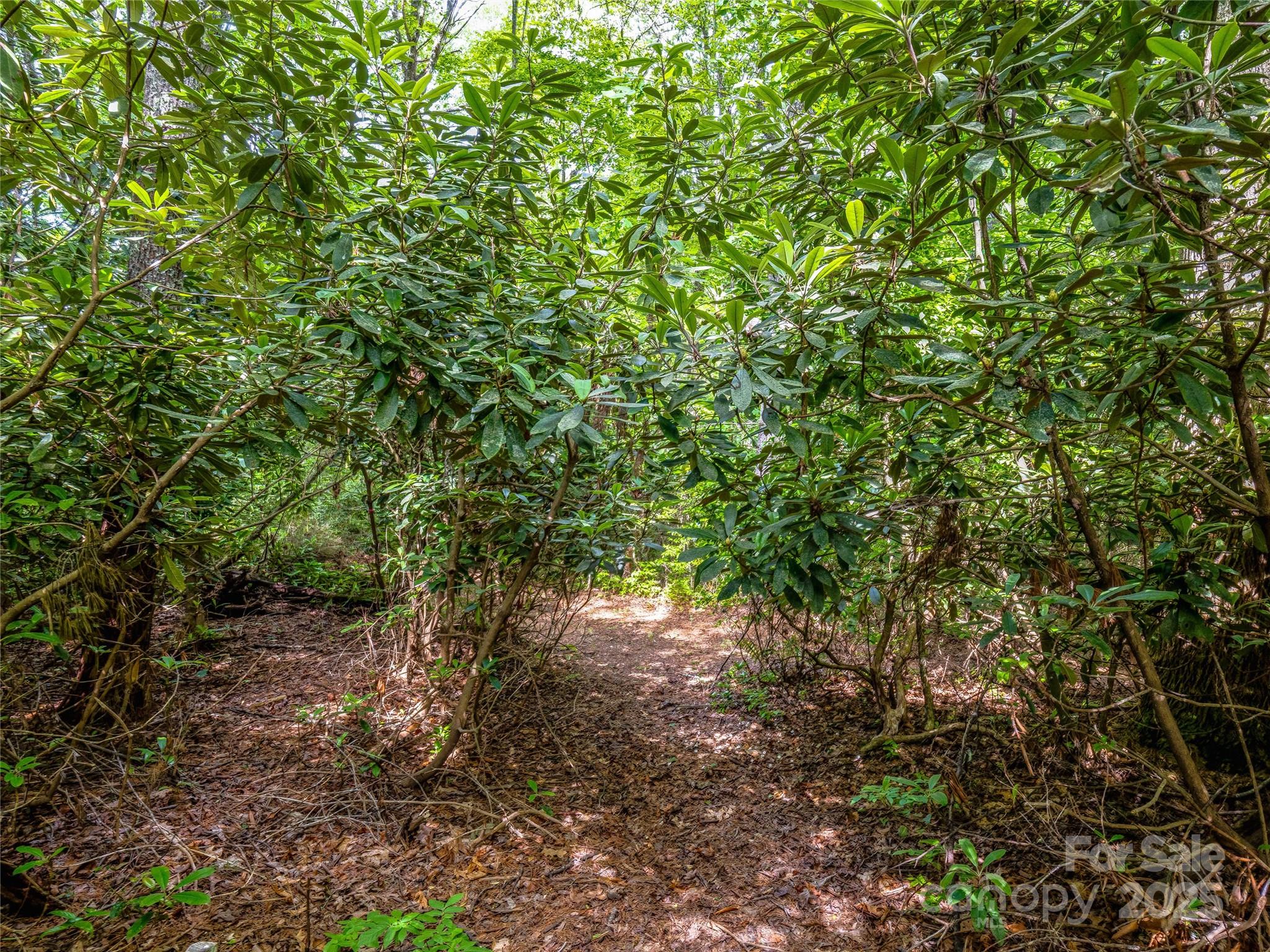 Lake Toxaway Estates - Land