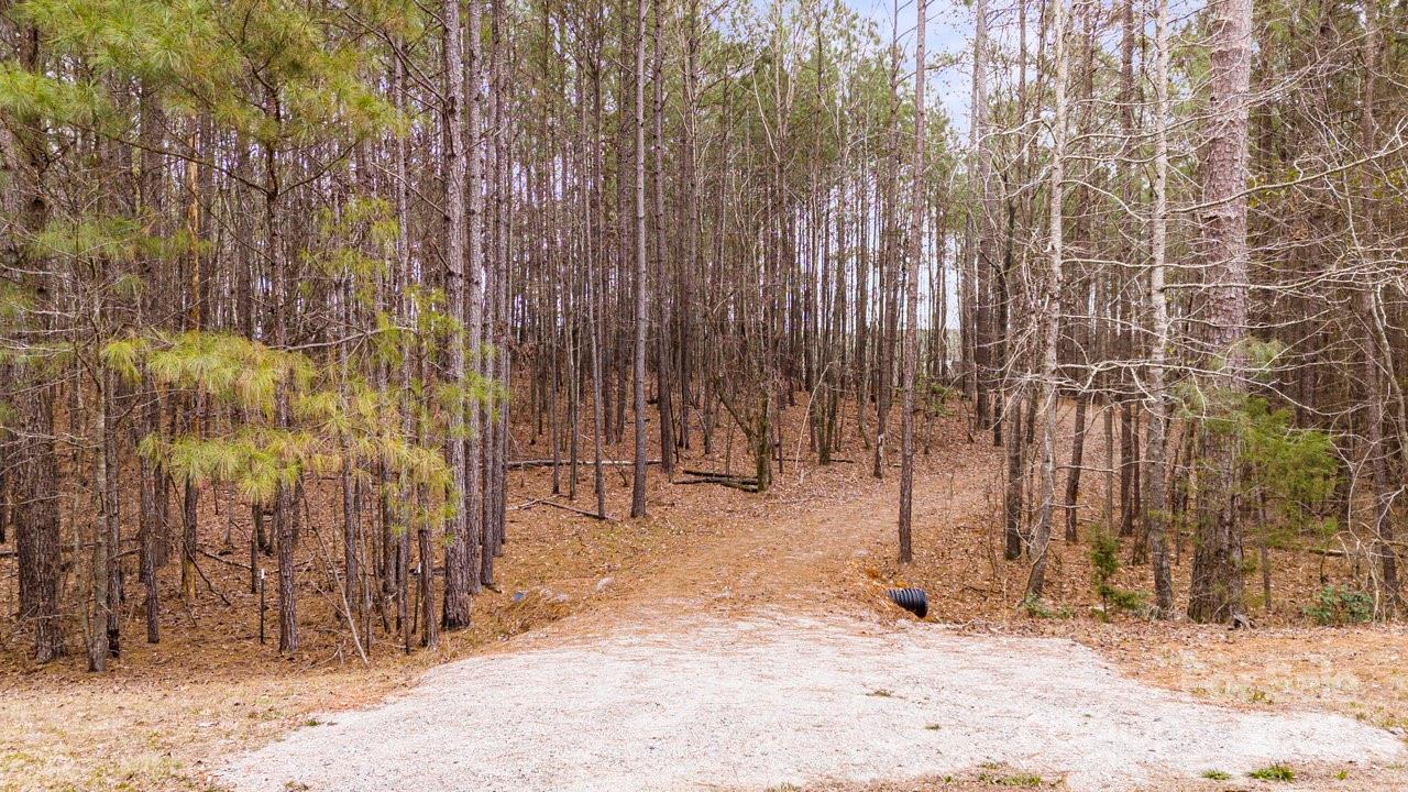 The Crossings - Land