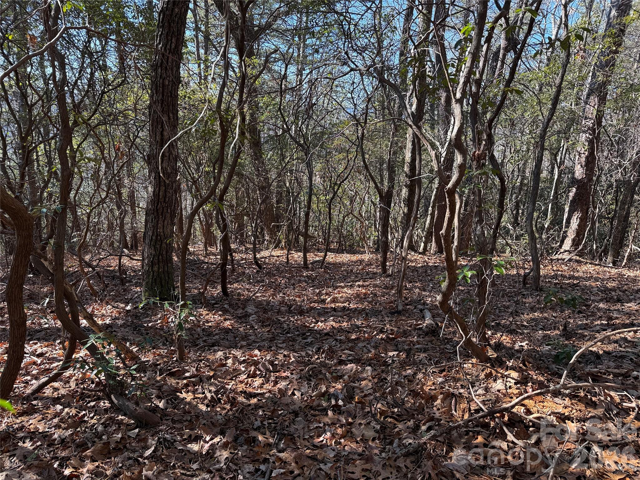 Buck Mountain - Land