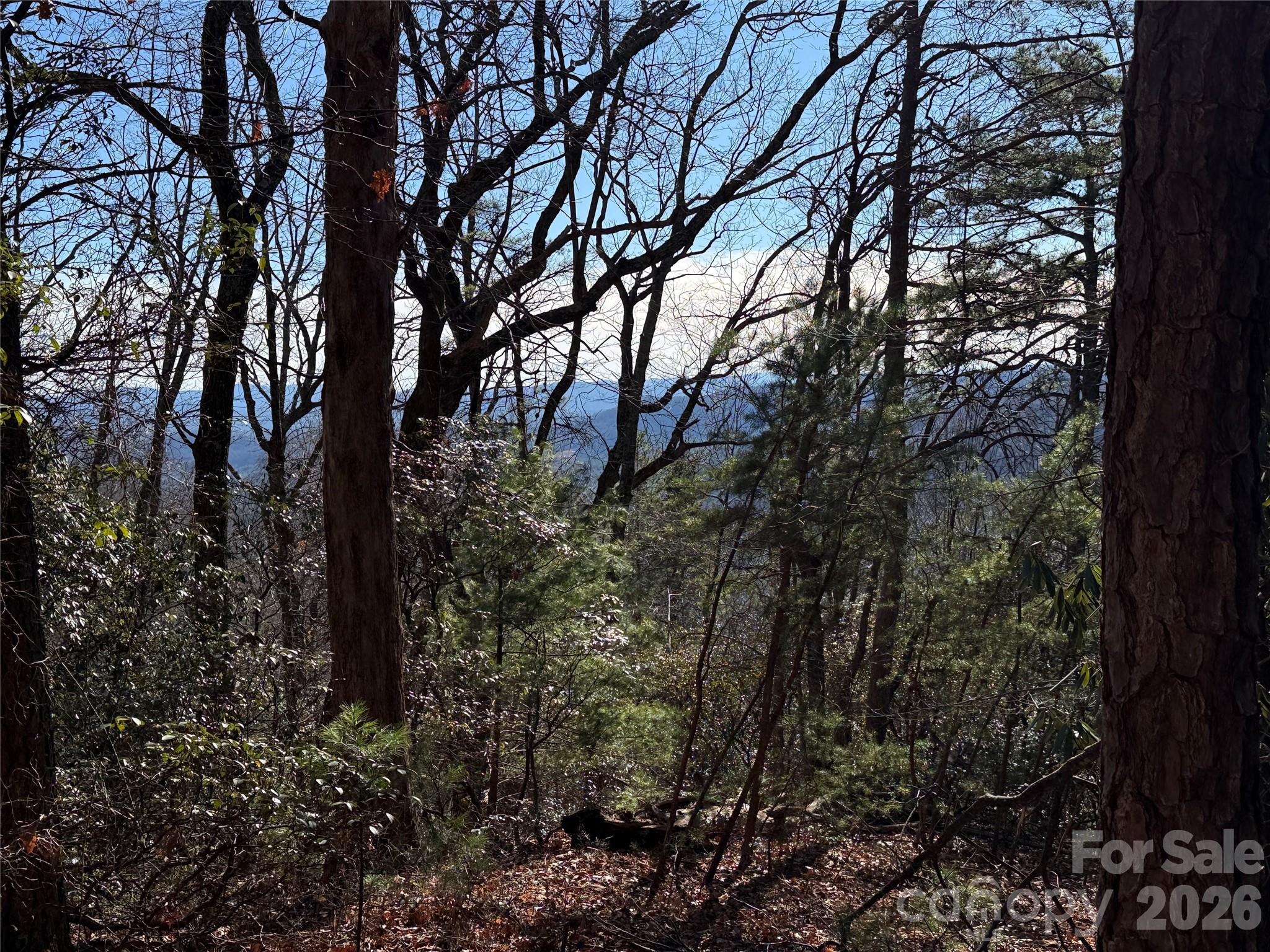 TBD Bobcat Mountain Road 27