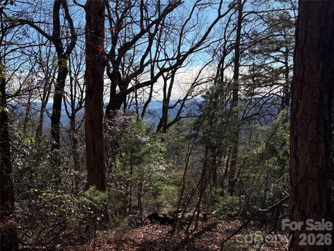 TBD Bobcat Mountain Road 27 Purlear NC 28665