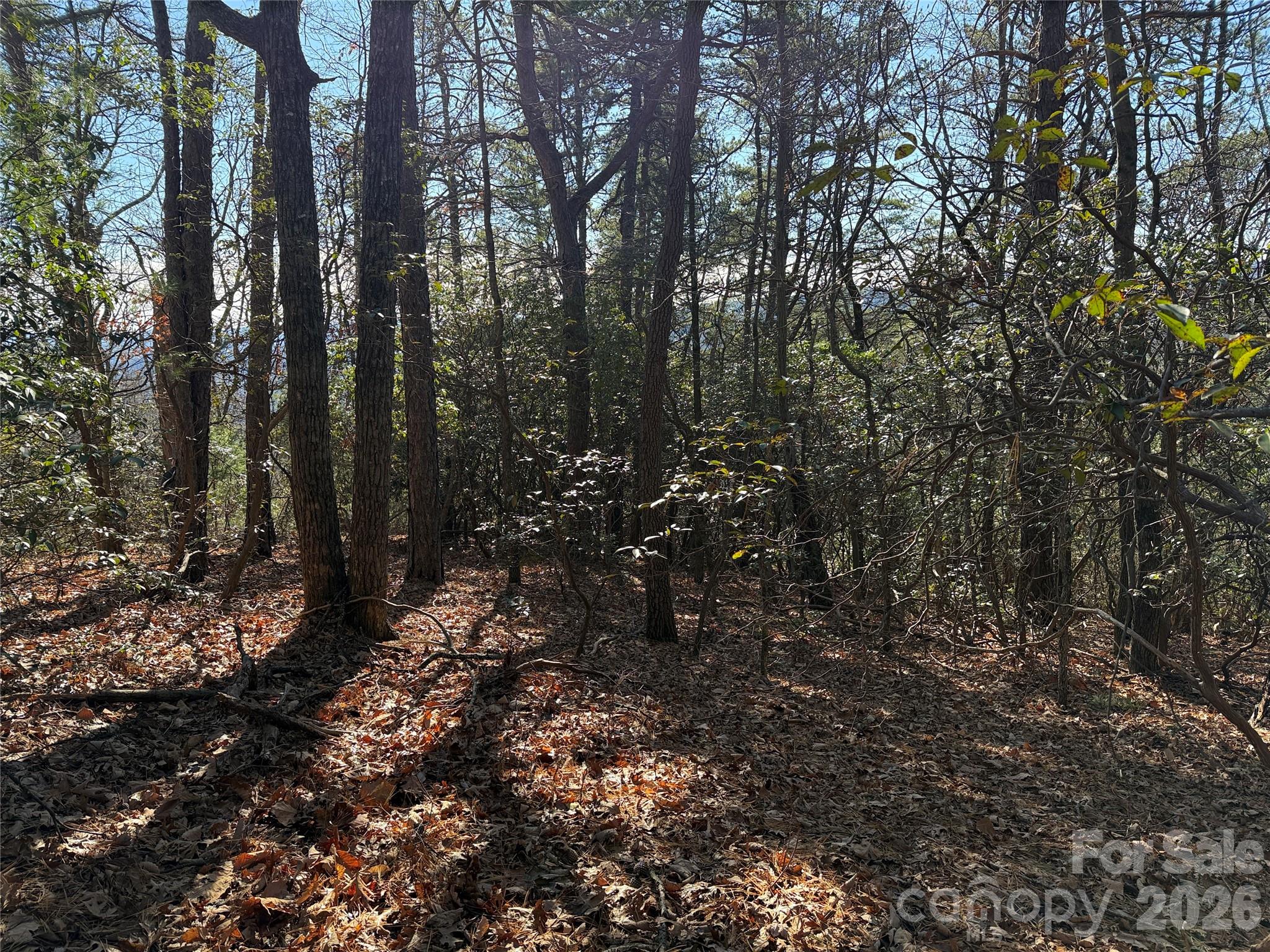 Buck Mountain - Land