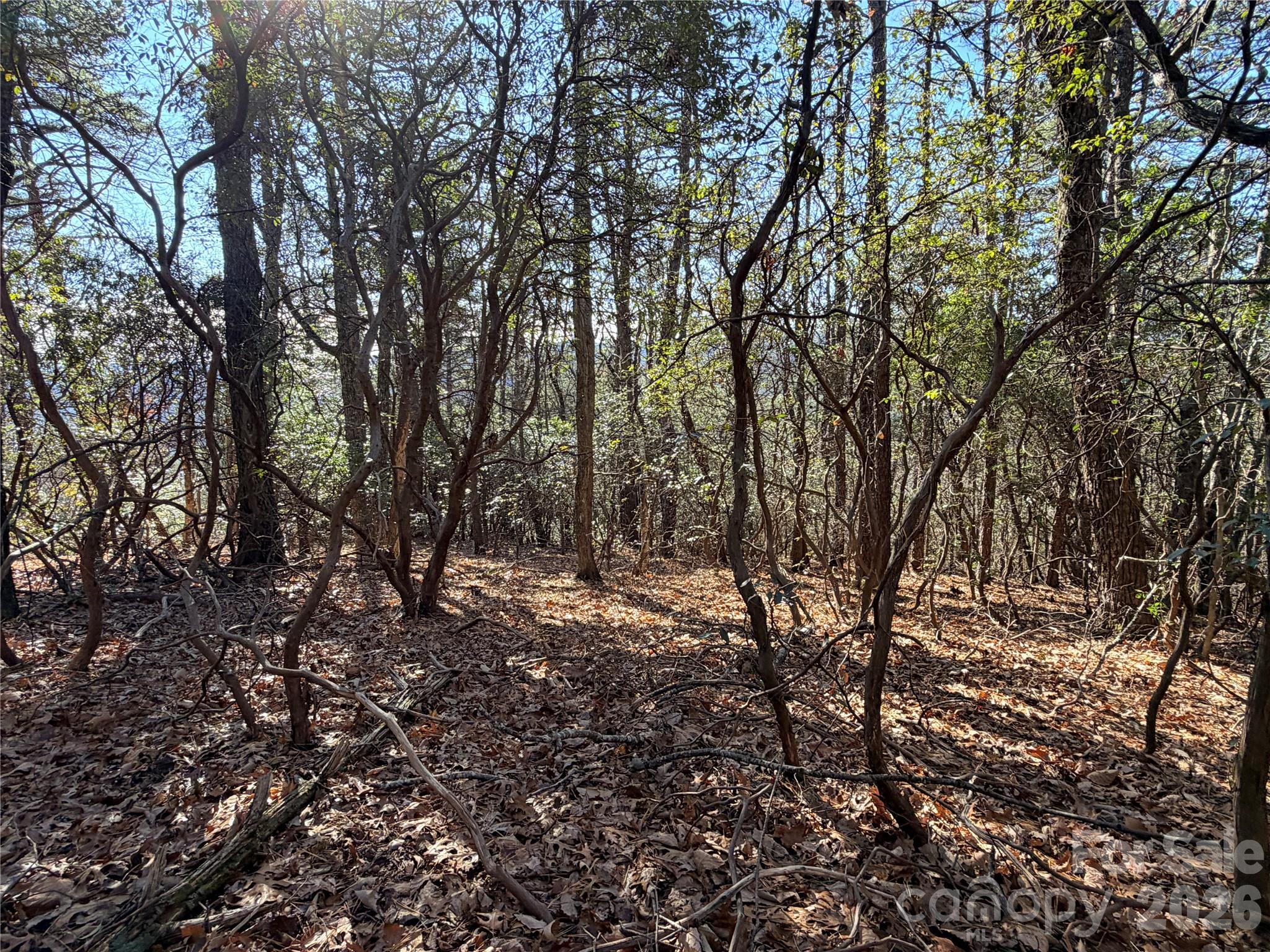 Buck Mountain - Land