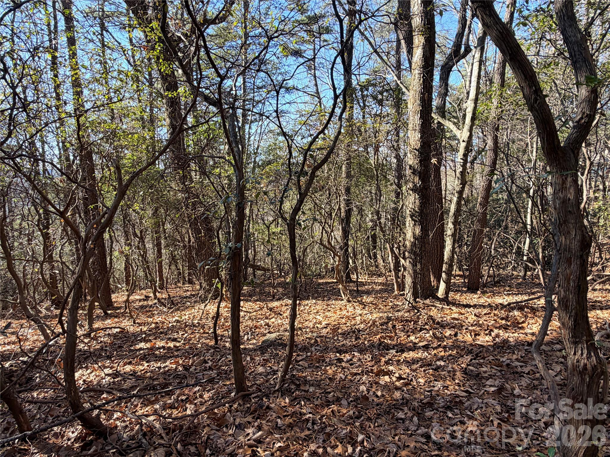 TBD Bobcat Mountain Road 27