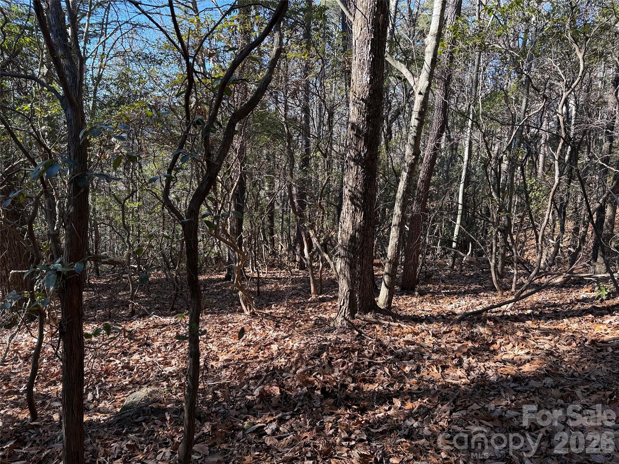 Buck Mountain - Land