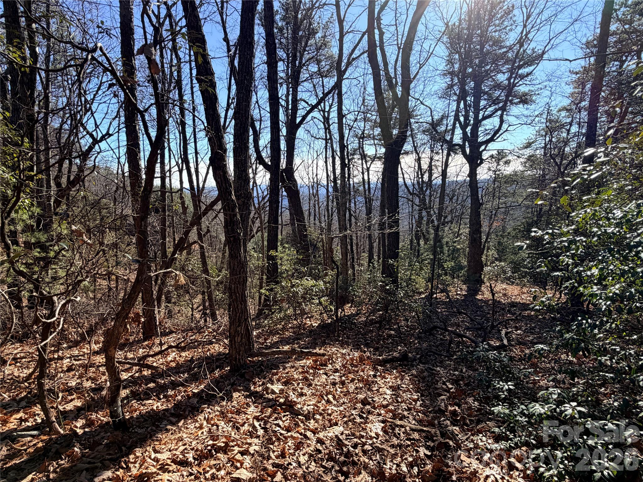 Buck Mountain - Land