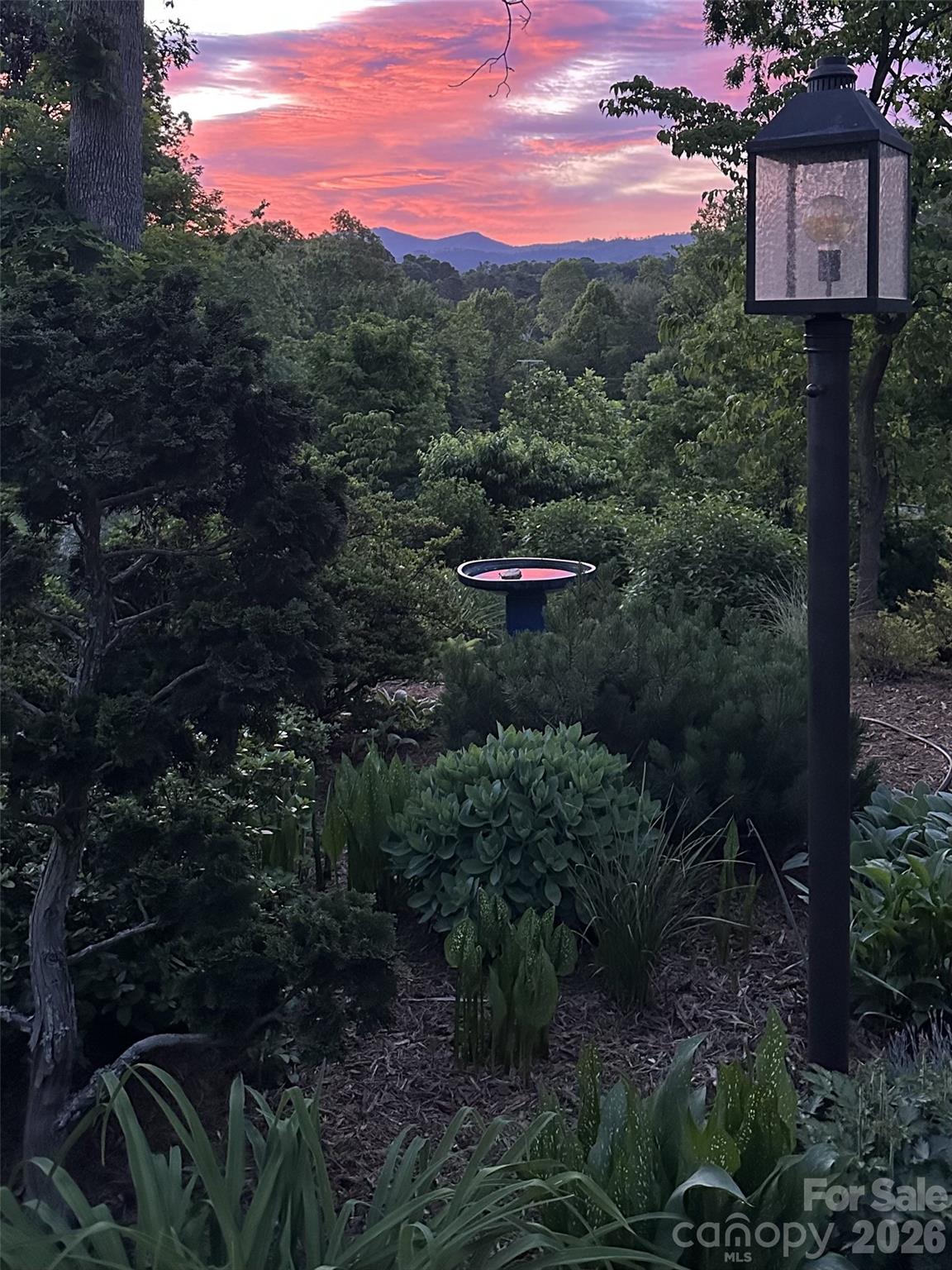 210 Wildflower Road 7