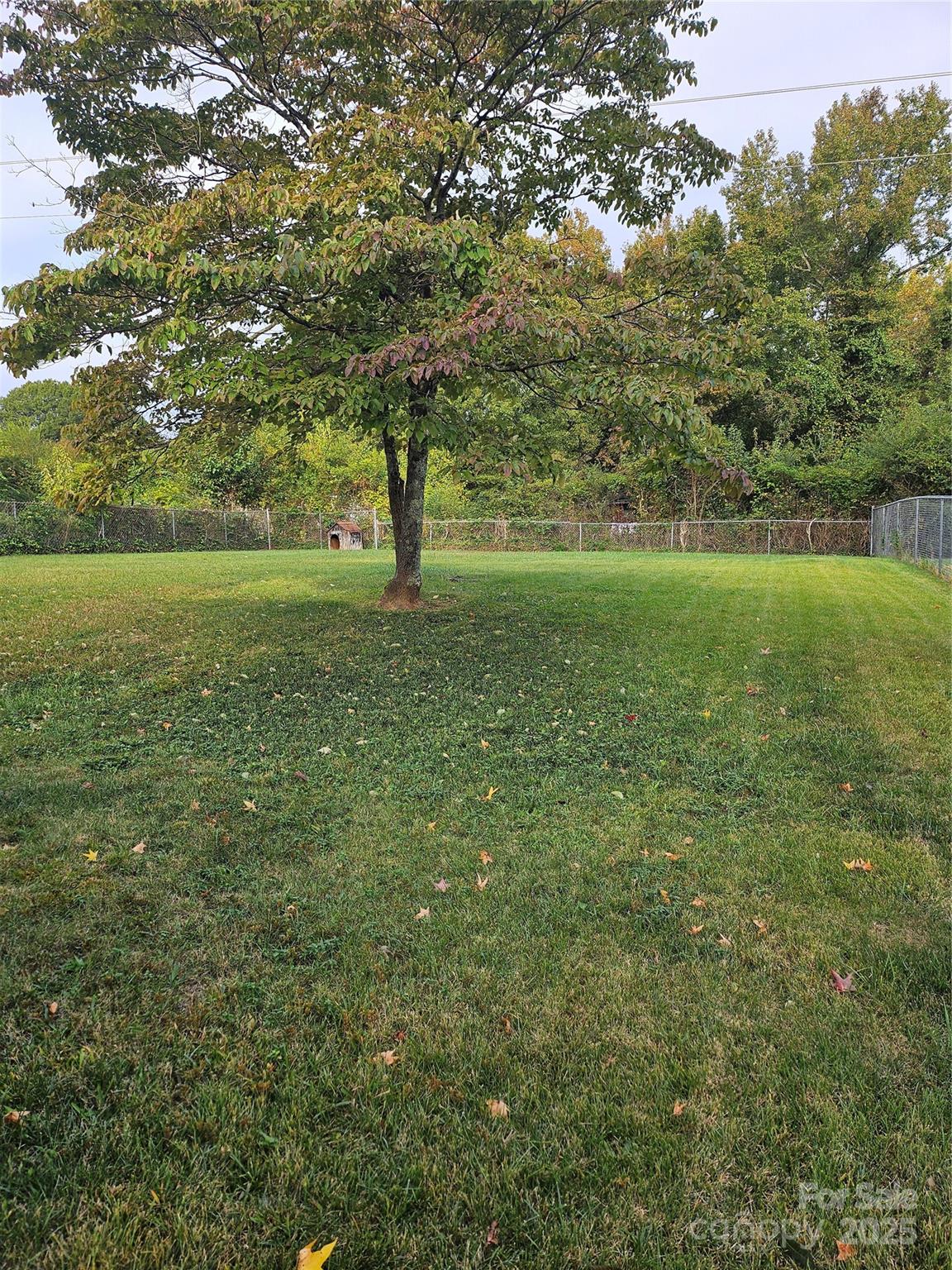 1245 Pondella Drive
